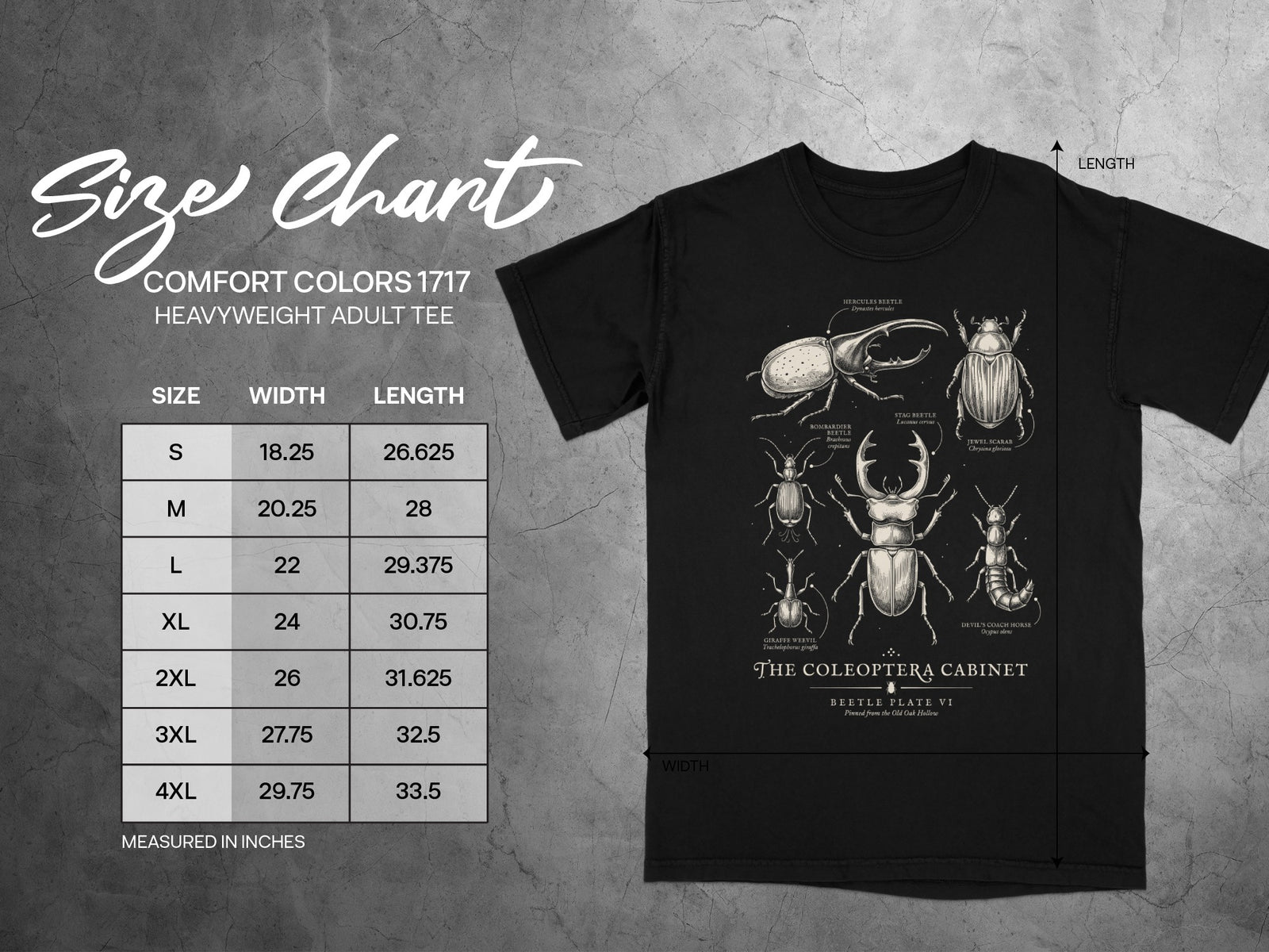 Size chart for Comfort Colors 1717 heavyweight adult tee with beetle illustrations.