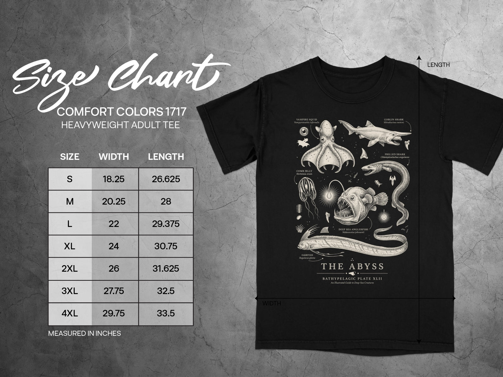 Comfort Colors 1717 size chart with deep-sea creatures illustration.