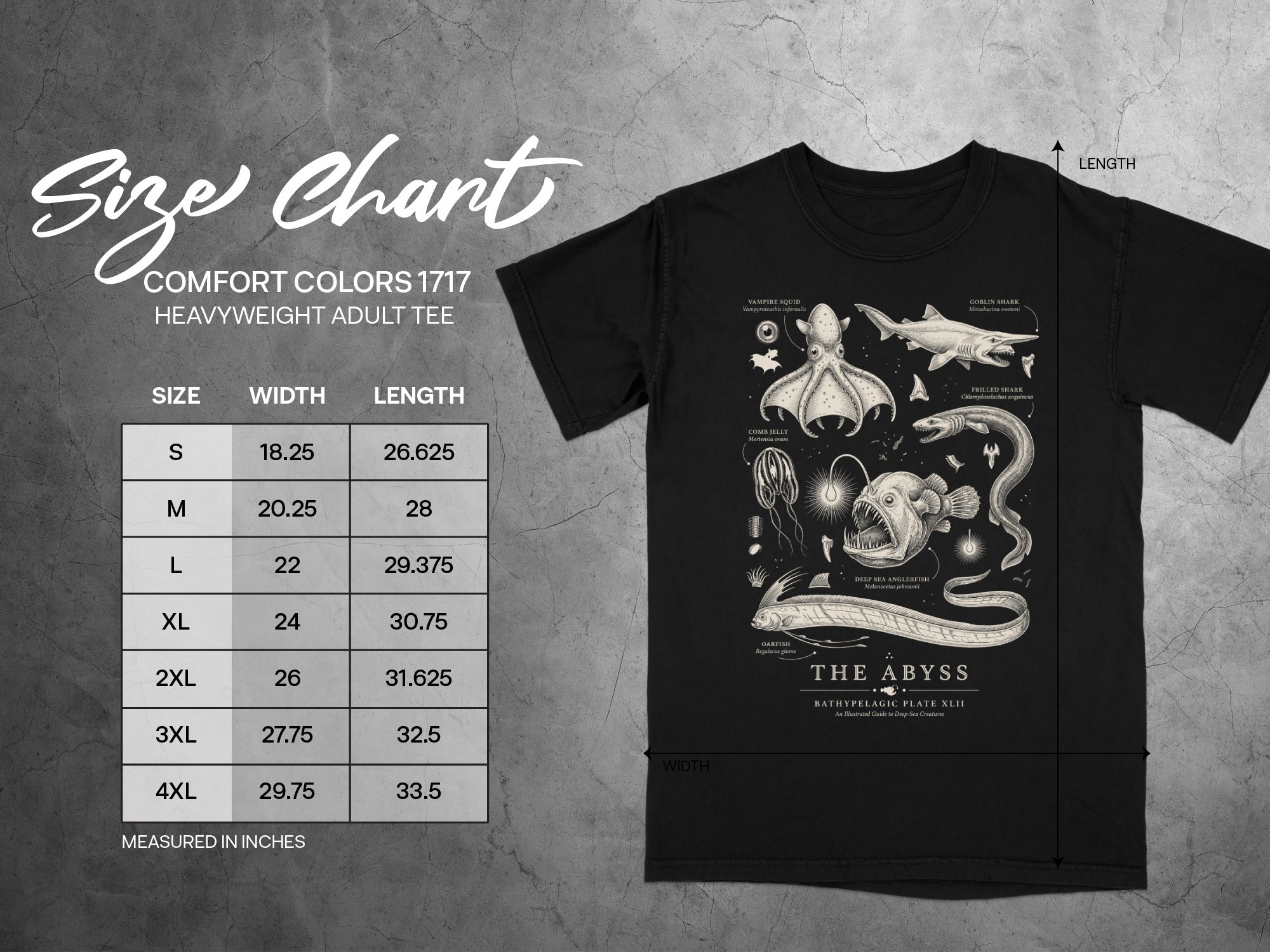 Comfort Colors 1717 size chart with deep-sea creatures illustration.