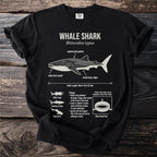 Black t-shirt with white diagram of whale shark, its features, and facts.