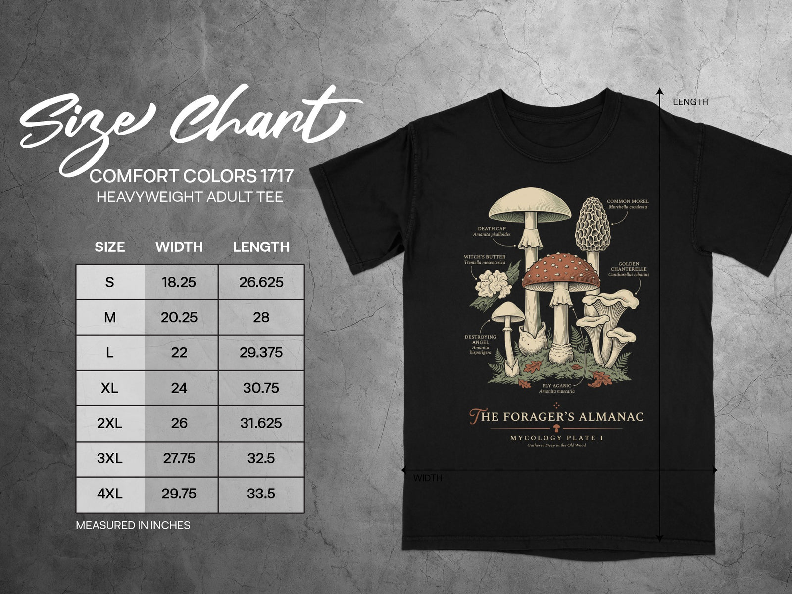 Comfort Colors 1717 heavyweight adult tee size chart with mushroom illustrations.