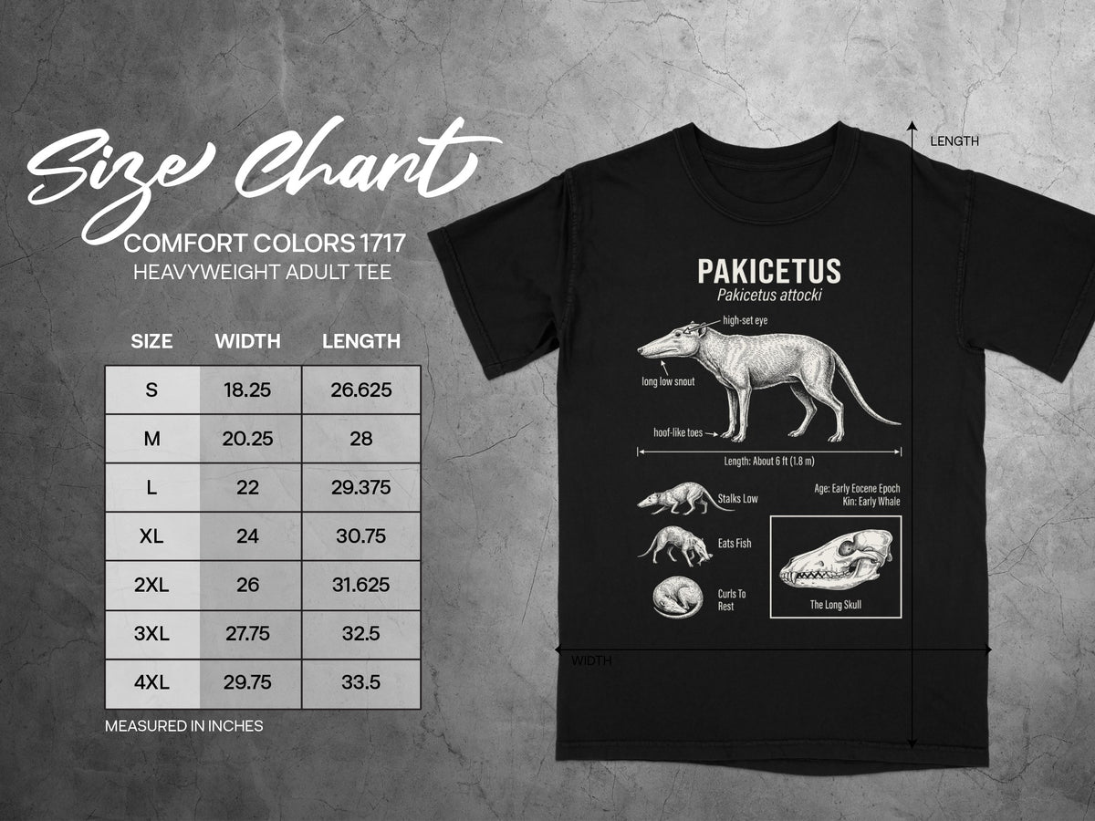 Size chart for Comfort Colors 1717 heavyweight adult tee with Pakicetus illustration.