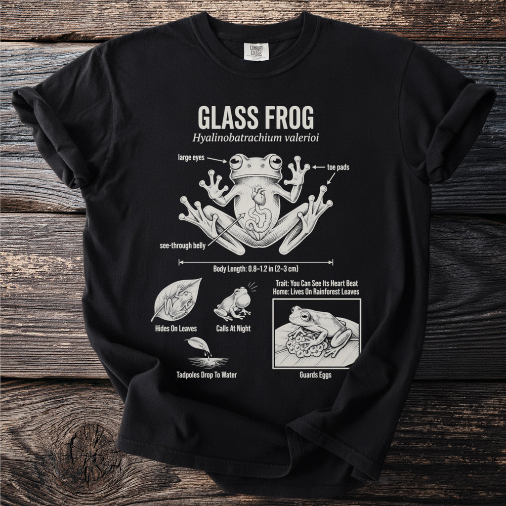 Black t-shirt with diagram of a glass frog, detailing its anatomy and traits.