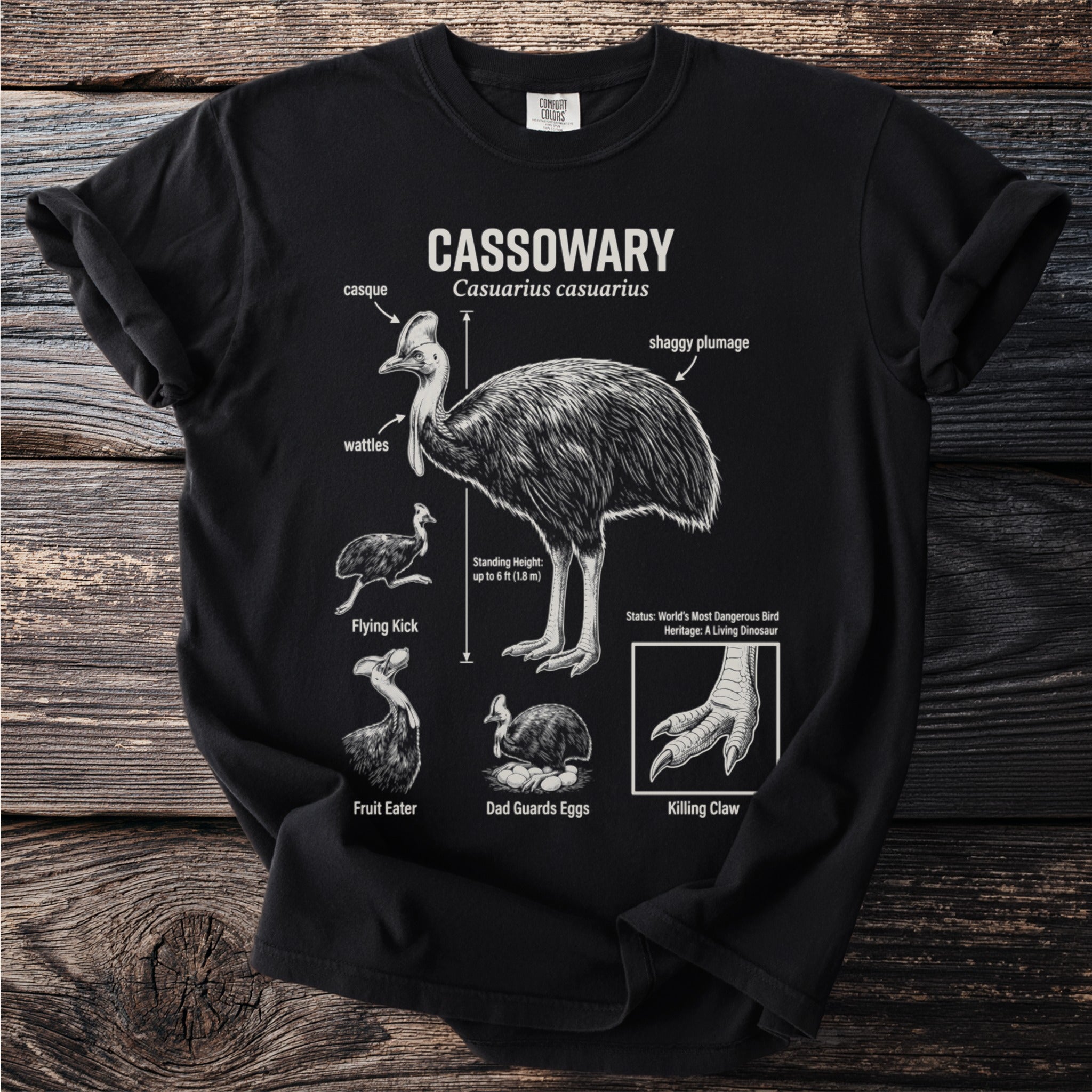 Cassowary diagram with labels including casque, wattles, shaggy plumage, and killing claw.