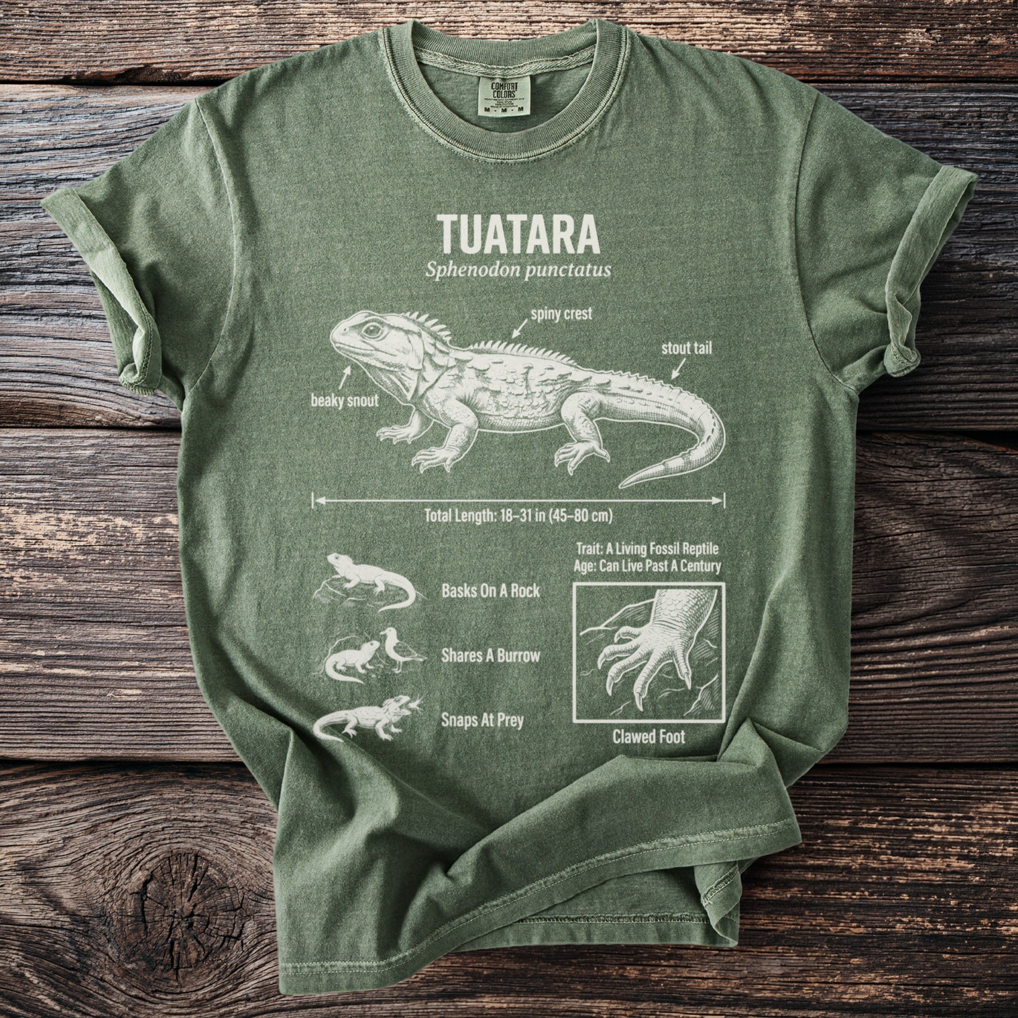 Tuatara diagram on a green t-shirt with anatomical labels and behavioral vignettes.