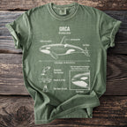 Green t-shirt with "ORCA" and anatomical diagram with labels.