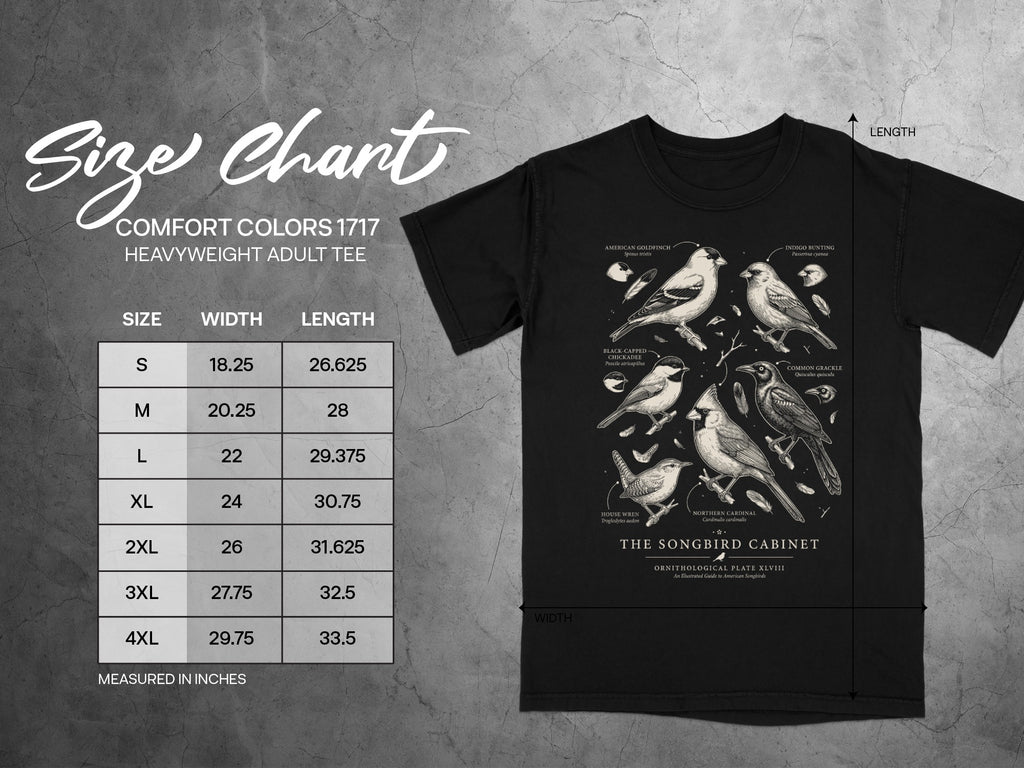 Comfort Colors 1717 heavyweight adult tee size chart with bird illustrations.