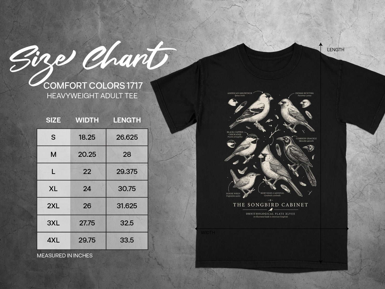 Comfort Colors 1717 heavyweight adult tee size chart with bird illustrations.