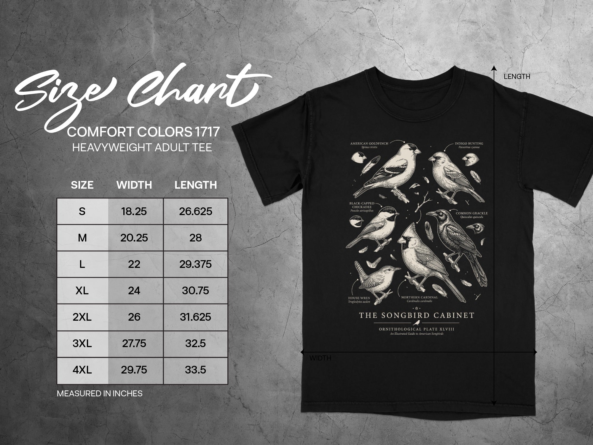 Comfort Colors 1717 heavyweight adult tee size chart with bird illustrations.