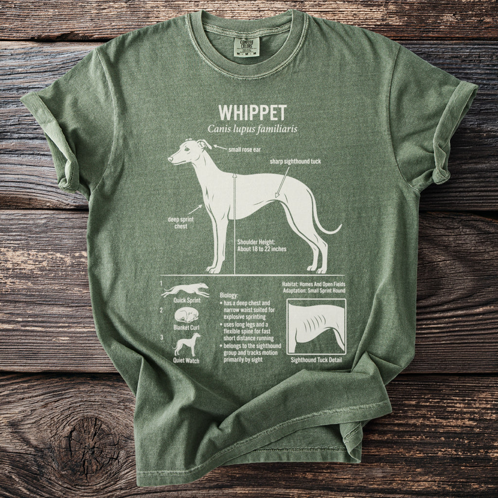 Green t-shirt with white Whippet anatomy diagram detailing chest, tuck, and shoulder height.