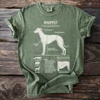 Green t-shirt with white Whippet anatomy diagram detailing chest, tuck, and shoulder height.