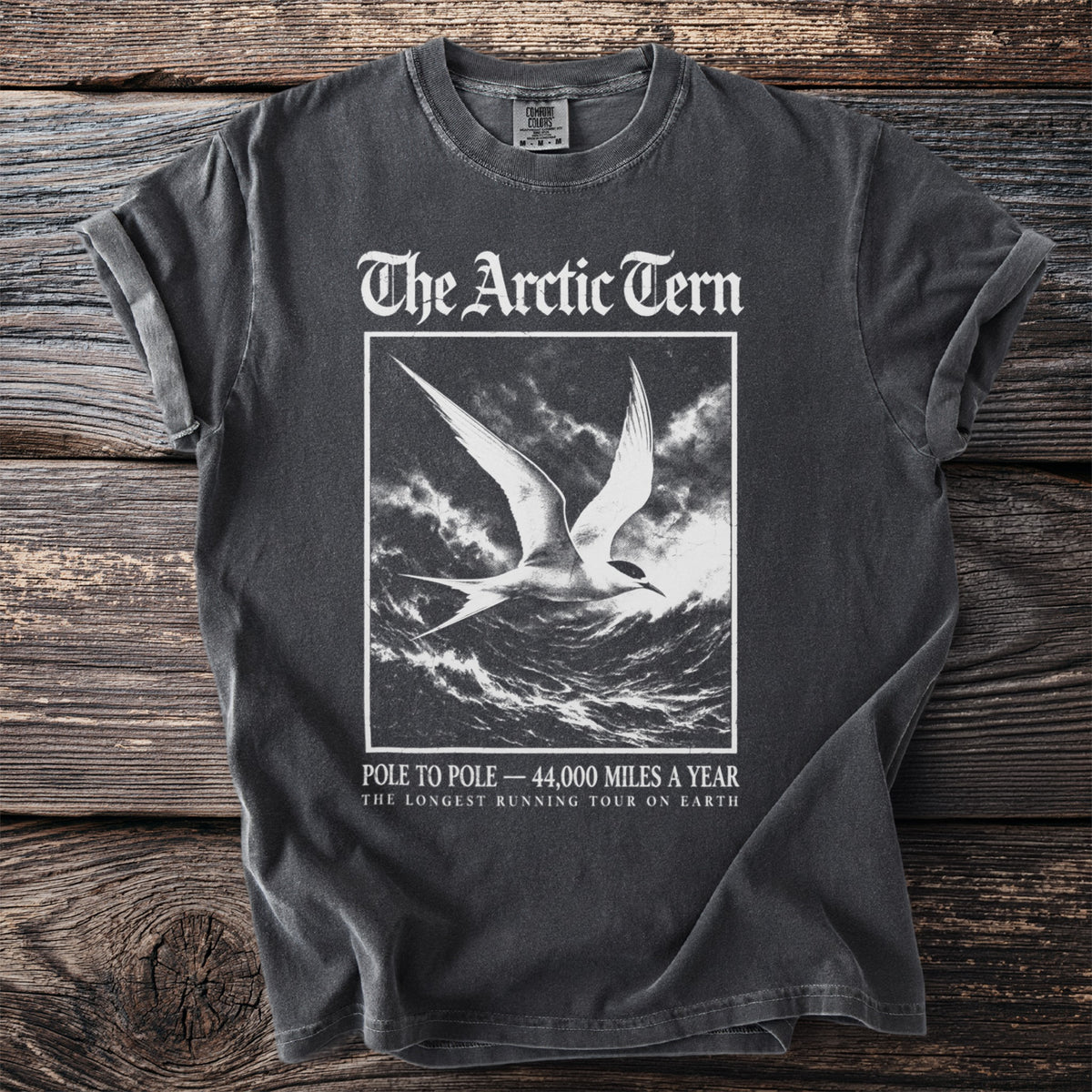 Dark grey t-shirt with "The Arctic Tern" and a flying bird over waves.
