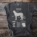 Cheetah illustration with scientific name, biological facts, and habitat details.