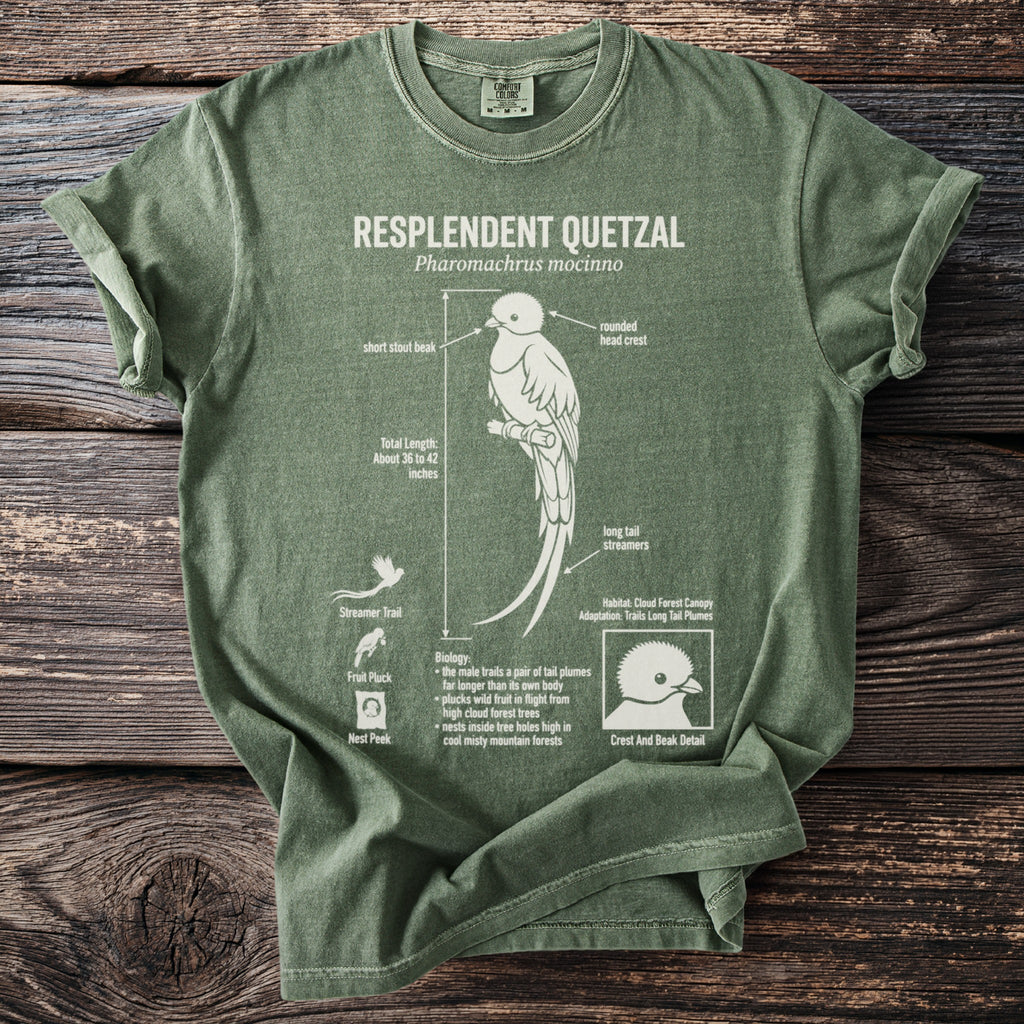 Green t-shirt with Resplendent Quetzal illustration and details.