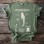 Green t-shirt with Resplendent Quetzal illustration and details.
