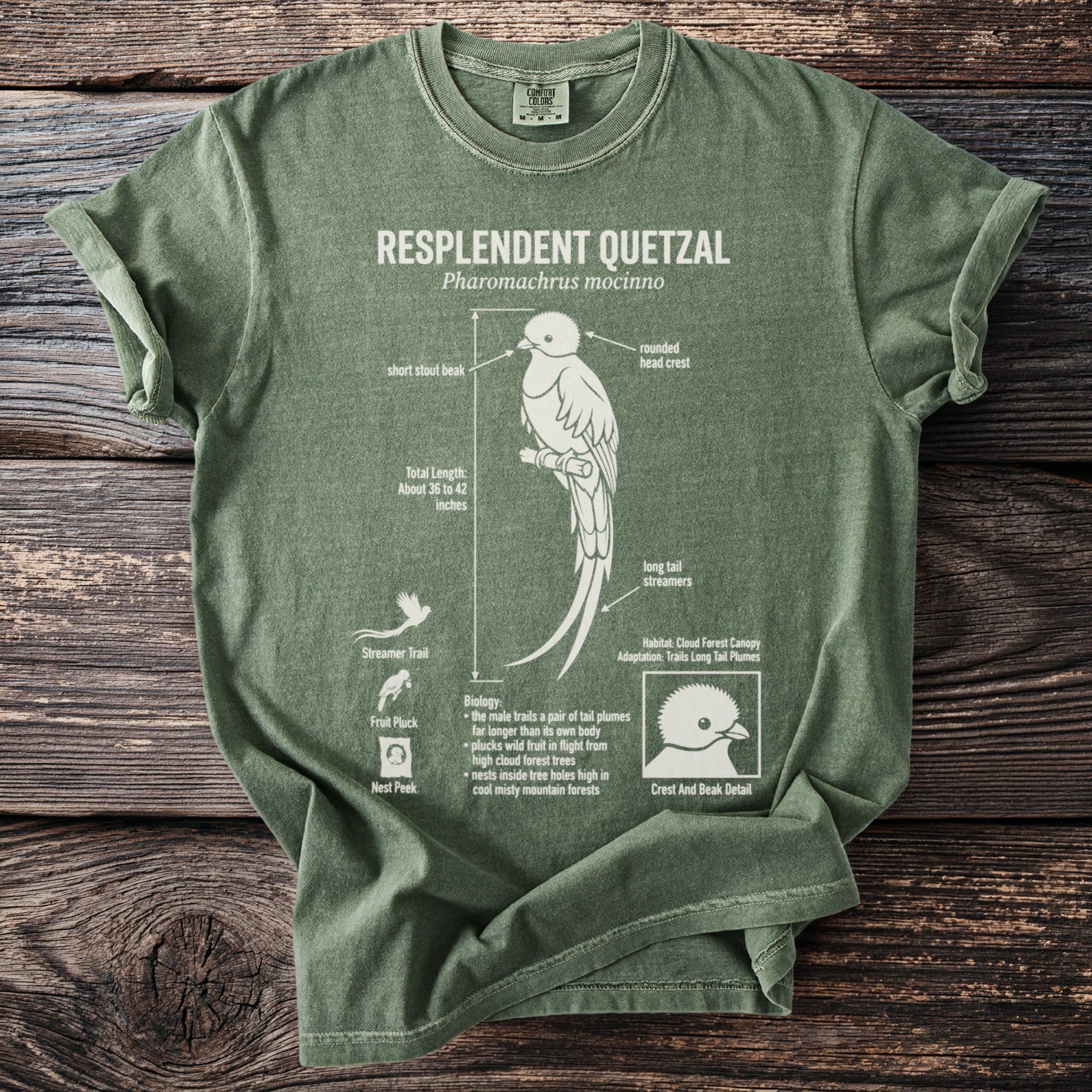 Green t-shirt with Resplendent Quetzal illustration and details.