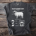 Valais Blacknose Sheep diagram showing features, size, and behaviors on a charcoal t-shirt.