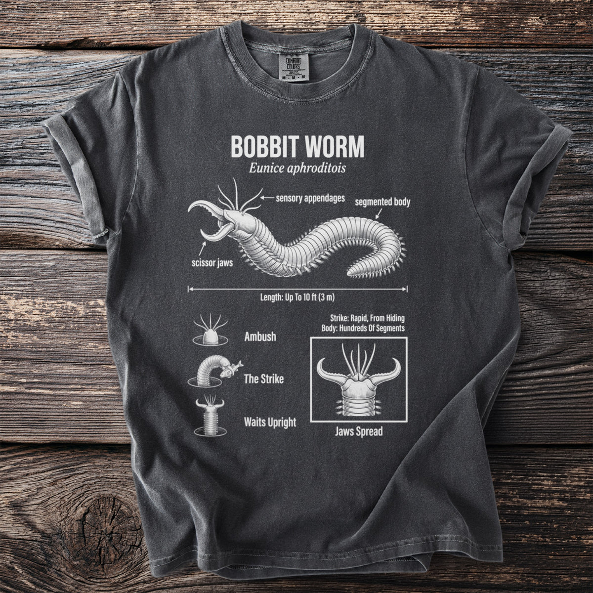 T-shirt graphic illustrating a Bobbit worm with scientific details and behaviors.