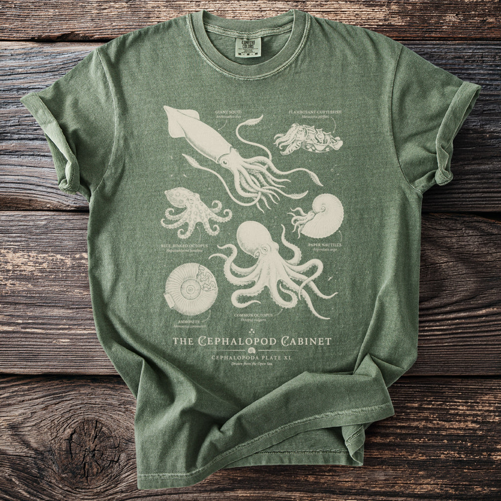 Green t-shirt with vintage scientific illustrations of sea creatures and text.