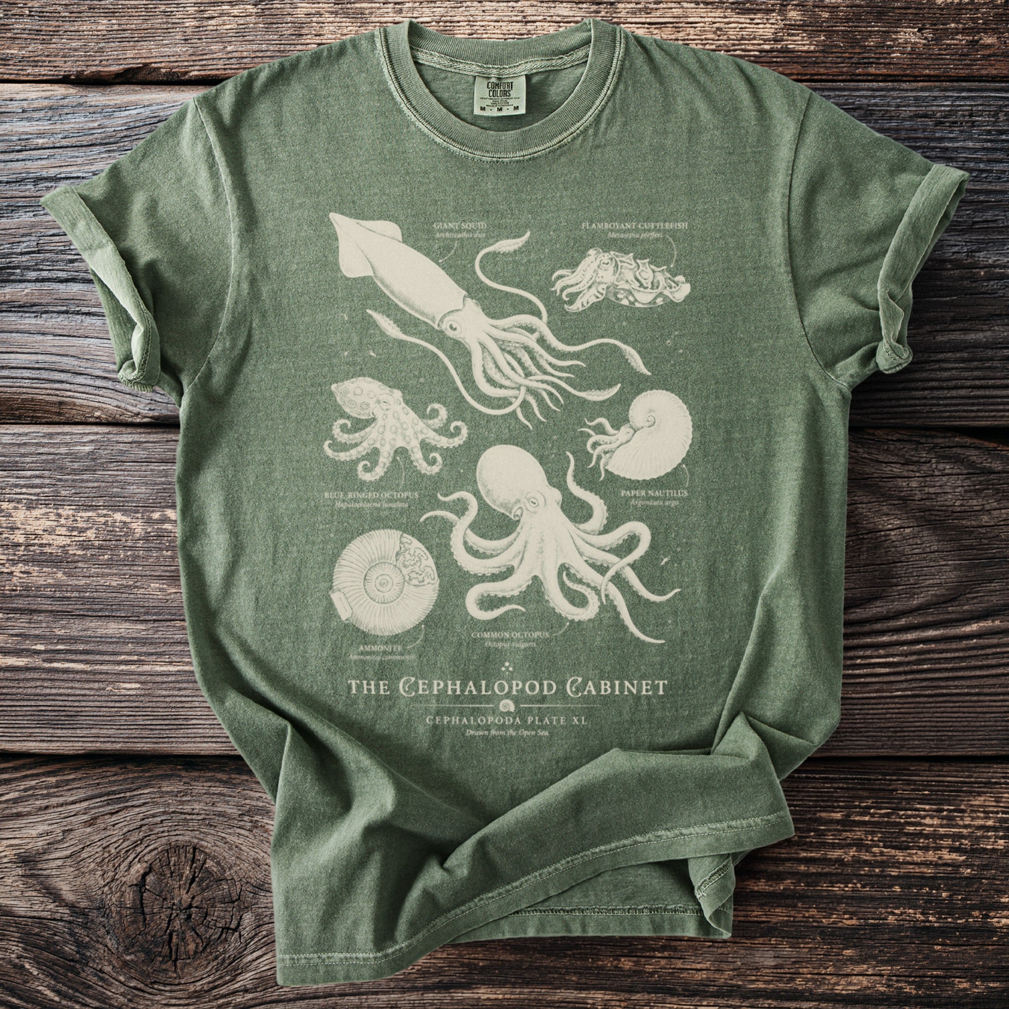 Green t-shirt with vintage scientific illustrations of sea creatures and text.