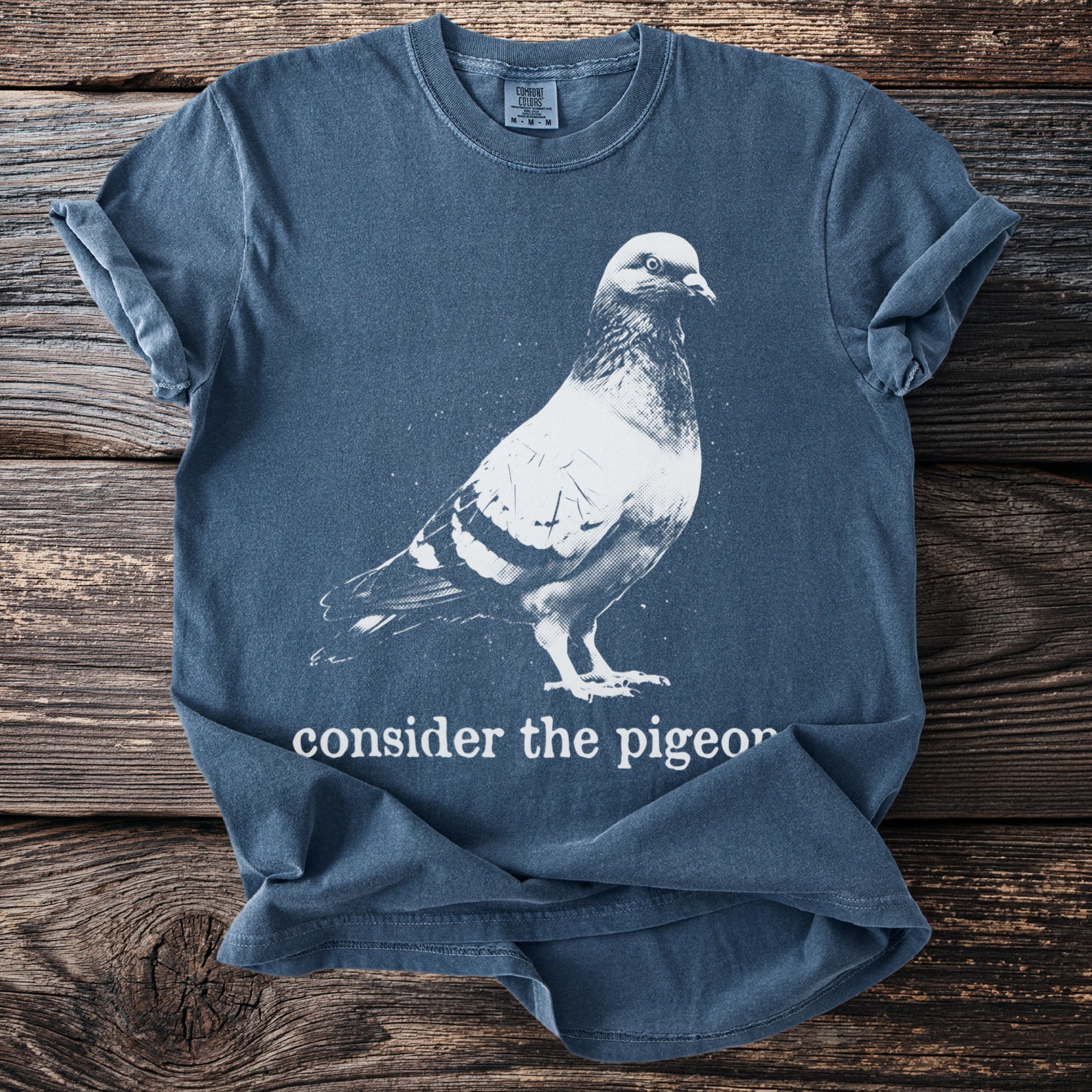 Blue t-shirt with white print of a pigeon and text "consider the pigeon".