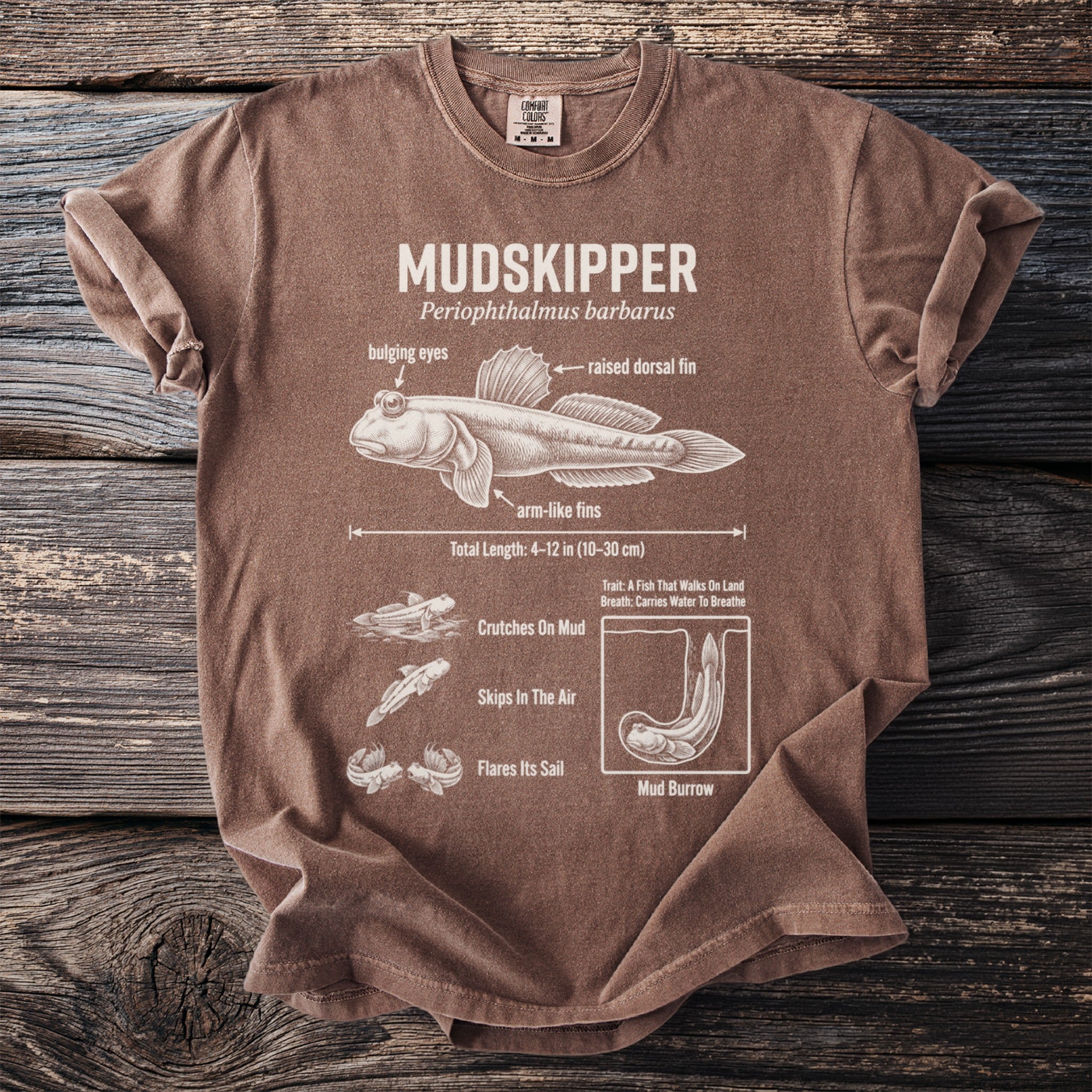 Brown t-shirt with diagram explaining characteristics and behaviors of a mudskipper.