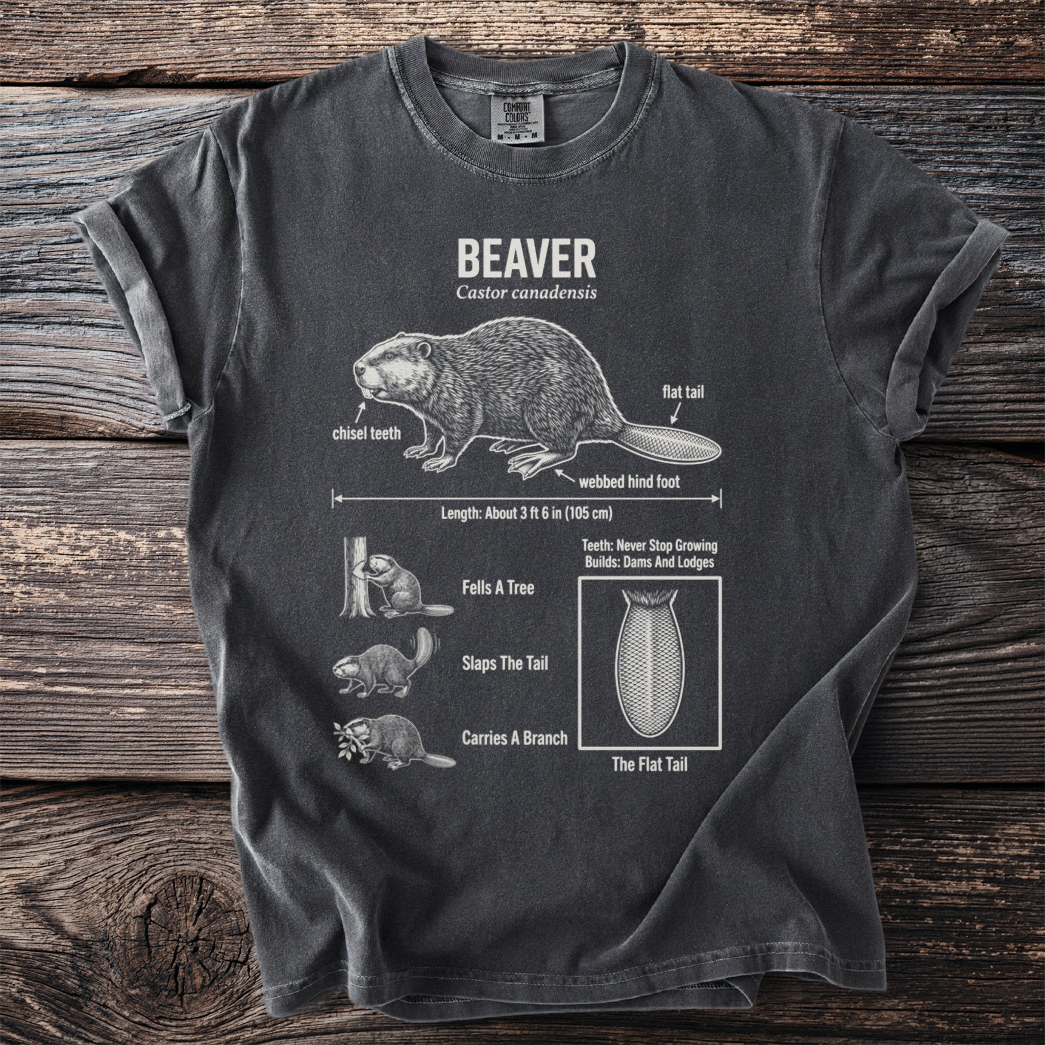 Dark grey t-shirt with beaver anatomy diagram and text.