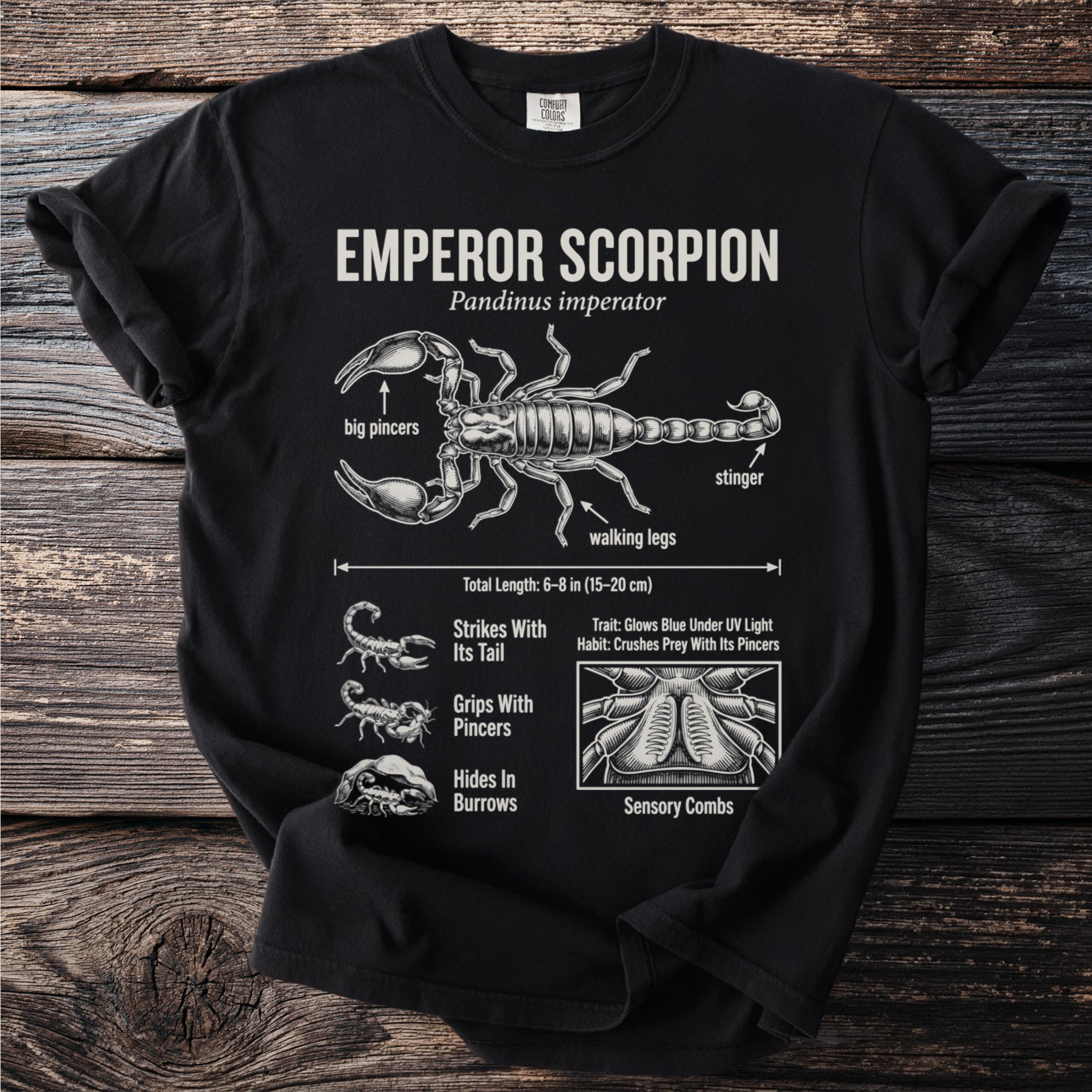 Emperor Scorpion t-shirt with anatomical diagram and facts about Pandinus imperator.