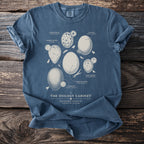 T-shirt with vintage illustrations of bird eggs labeled by species.