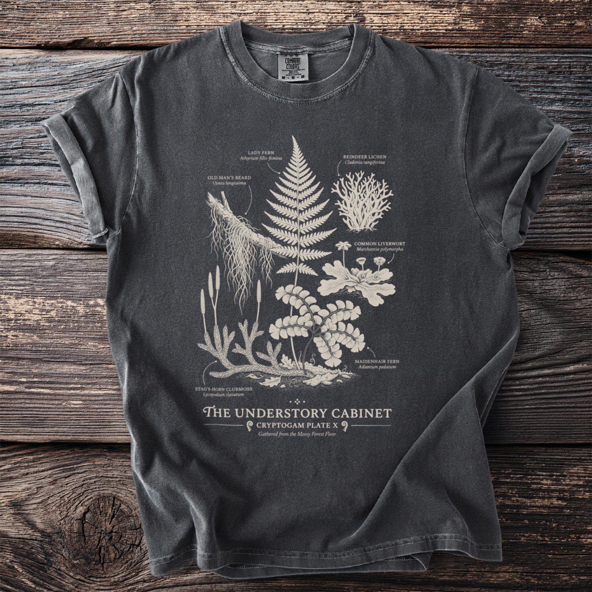 T-shirt with botanical illustrations and text: The Understory Cabinet.