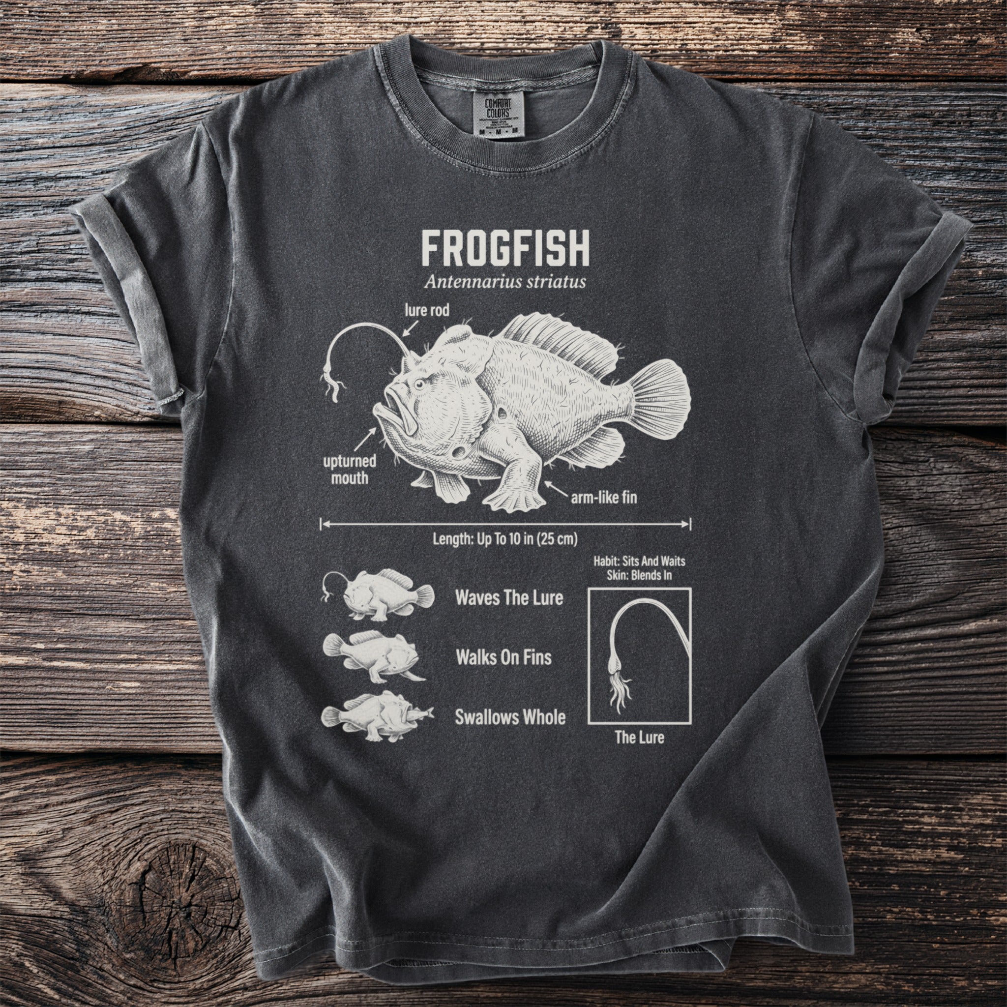 Dark gray t-shirt featuring an anatomical illustration of a frogfish and its characteristics.