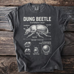 Dung Beetle diagram with annotations on its anatomy, behavior, and size.