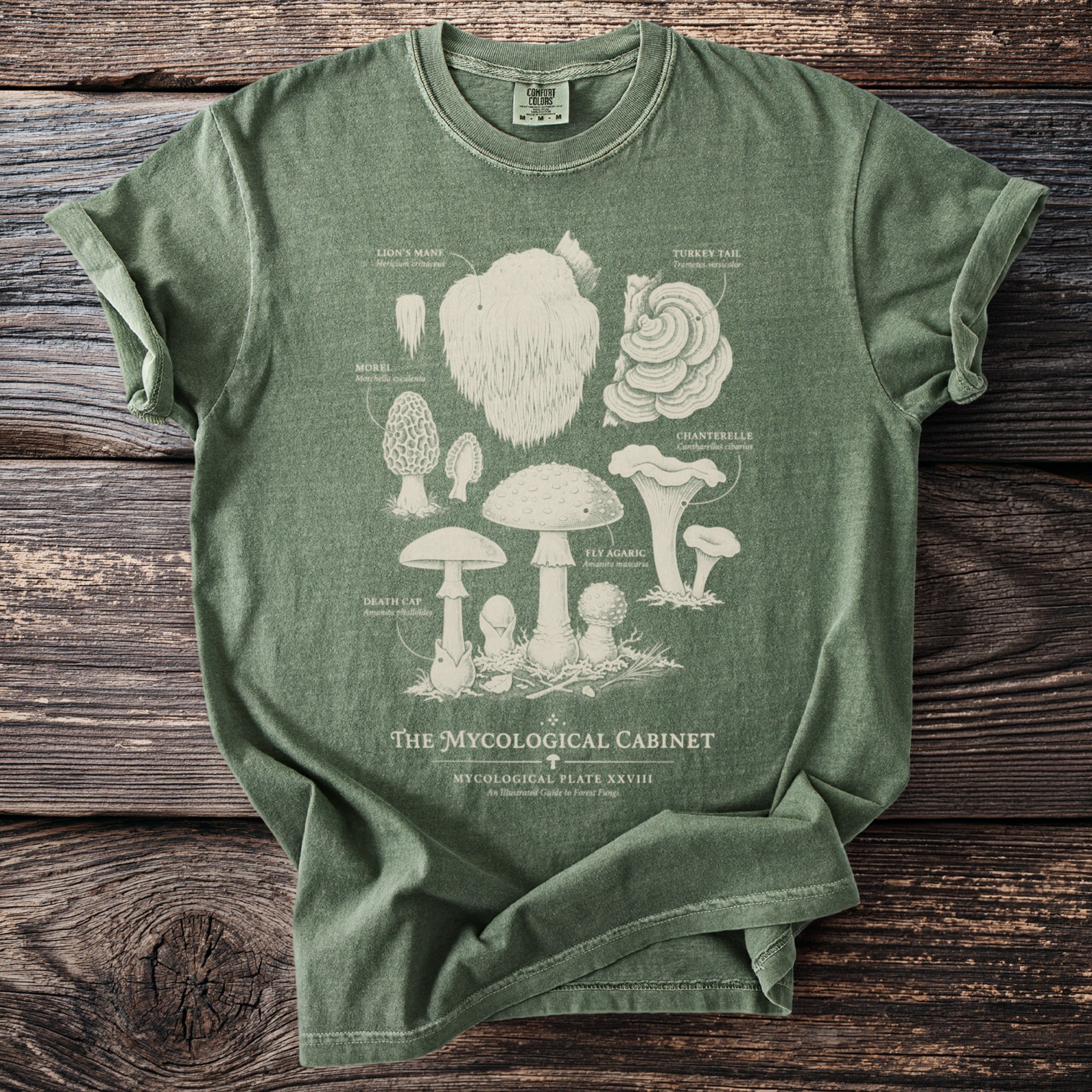 Green t-shirt featuring an illustration of various mushrooms labeled "The Mygalogical Cabinet".
