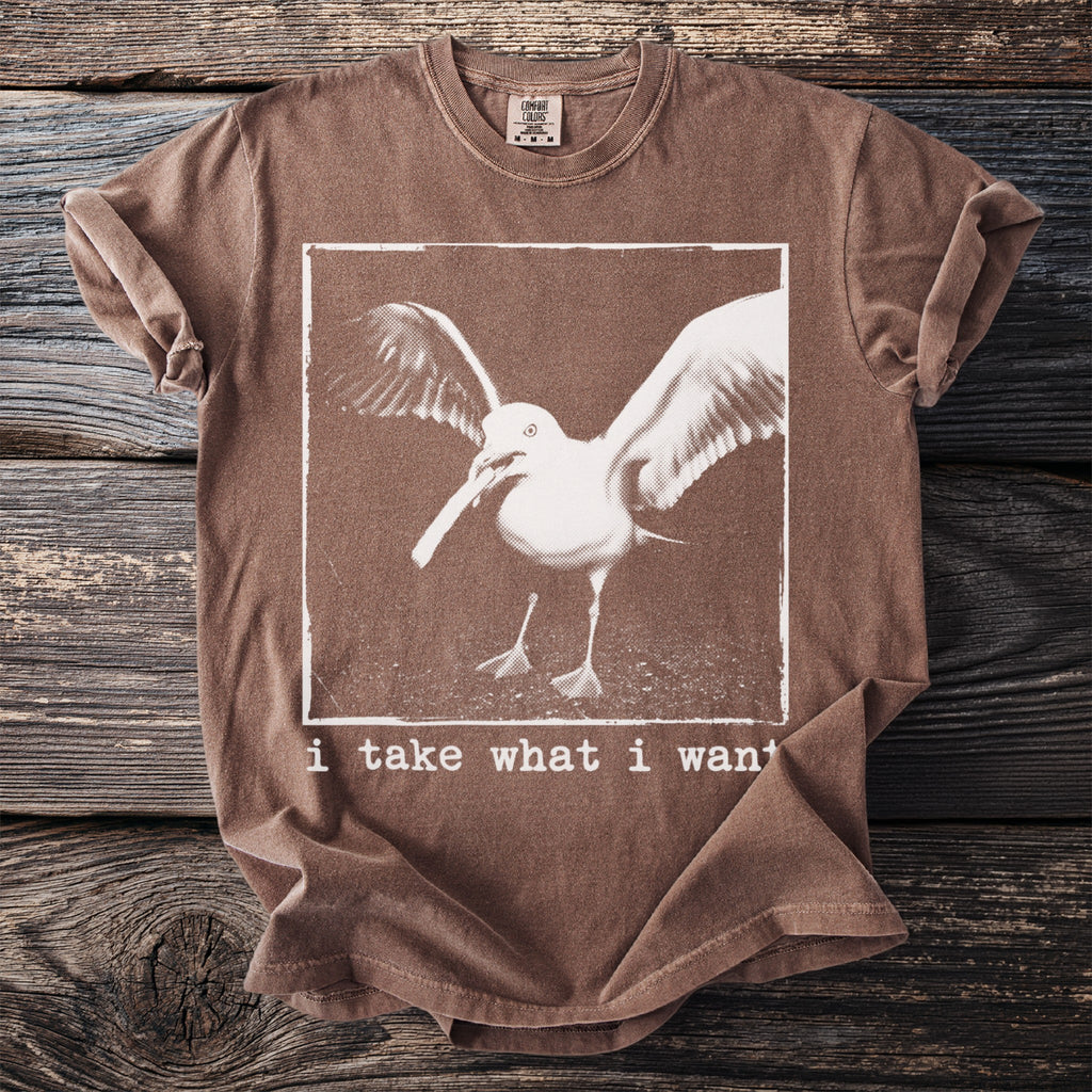 Brown t-shirt with distressed graphic of a seagull titled "i take what i want."