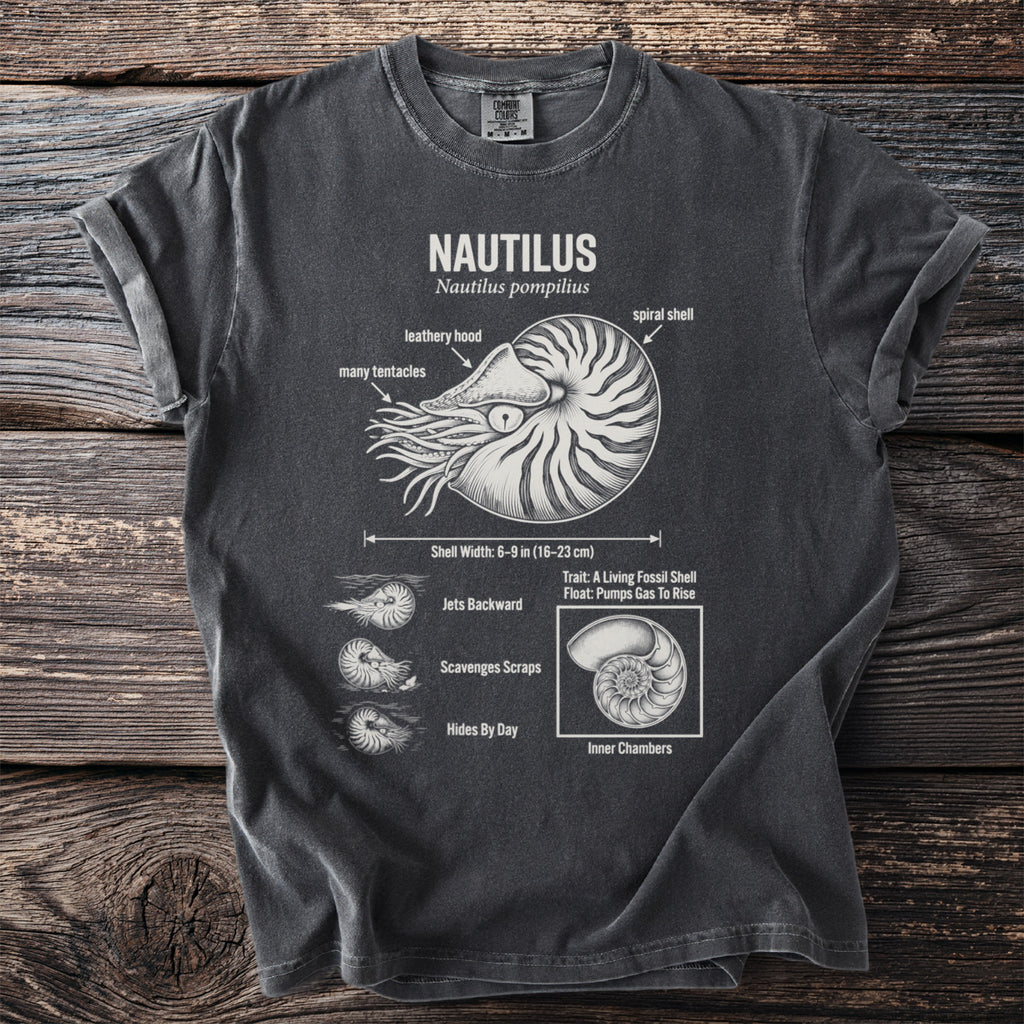 Nautilus Nautilus pompilius diagram showing shell, tentacles, and behavior.