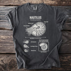 Nautilus Nautilus pompilius diagram showing shell, tentacles, and behavior.