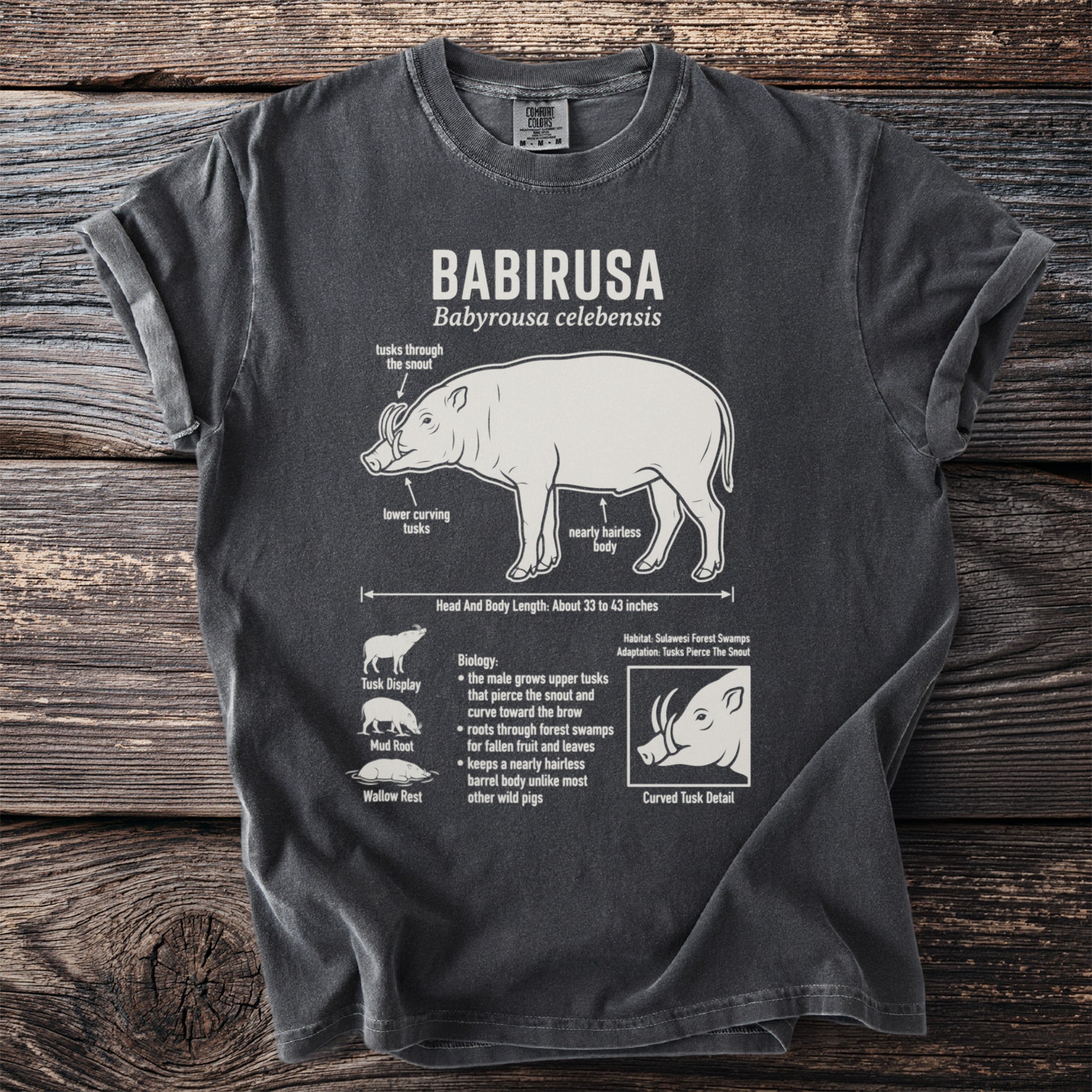 Babirusa t-shirt with a schematic diagram of the animal and its features.