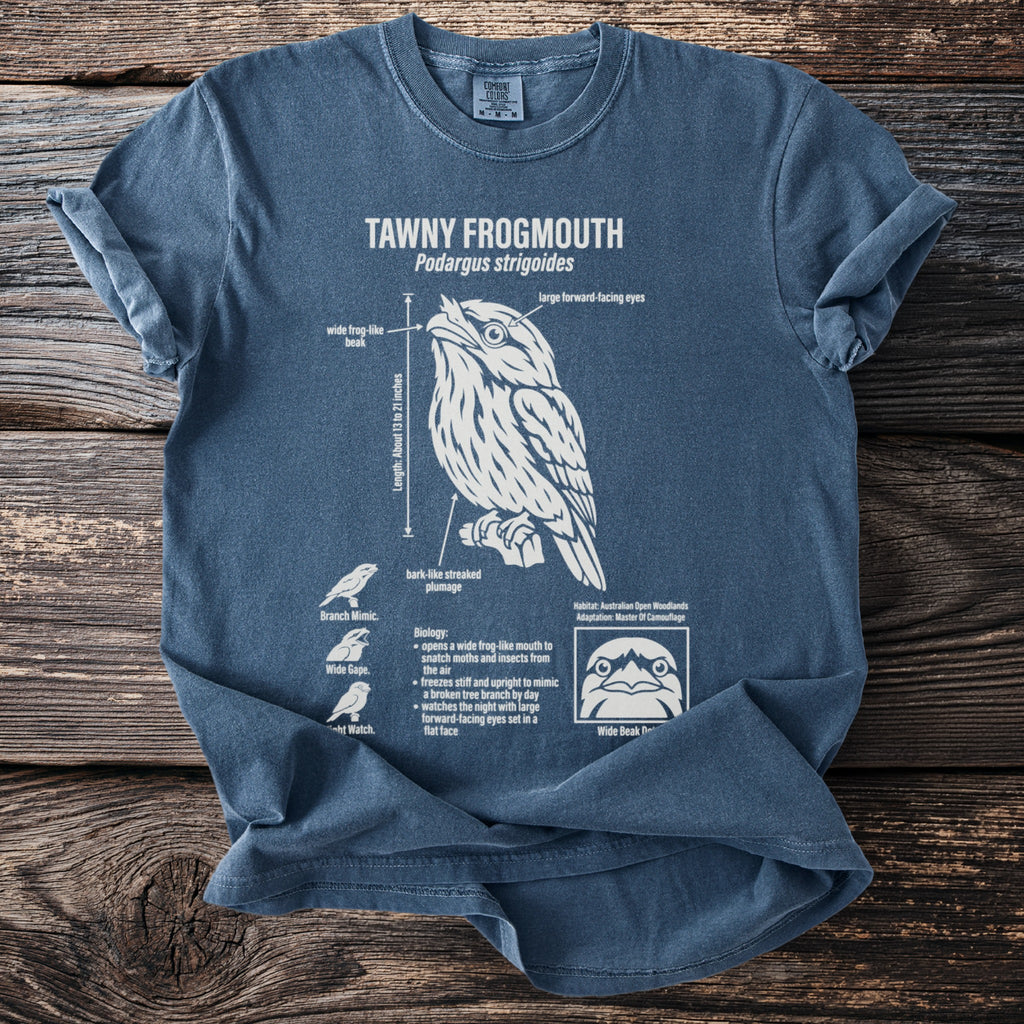 Blue t-shirt with Tawny Frogmouth illustration and biological details.