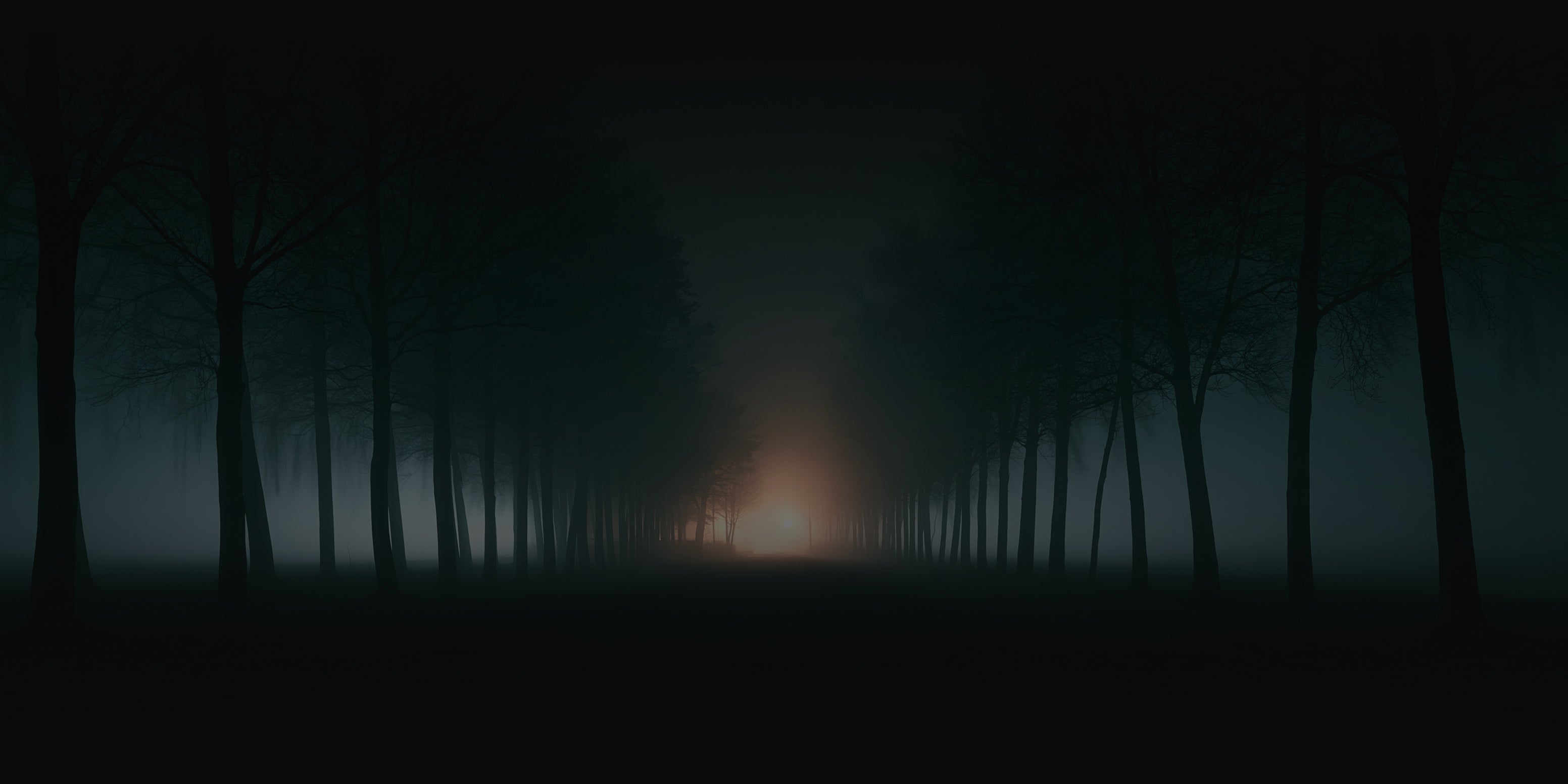 A dark, atmospheric forest scene with rows of tall trees in silhouette fading into heavy fog, with a faint warm glow of light at the vanishing point.