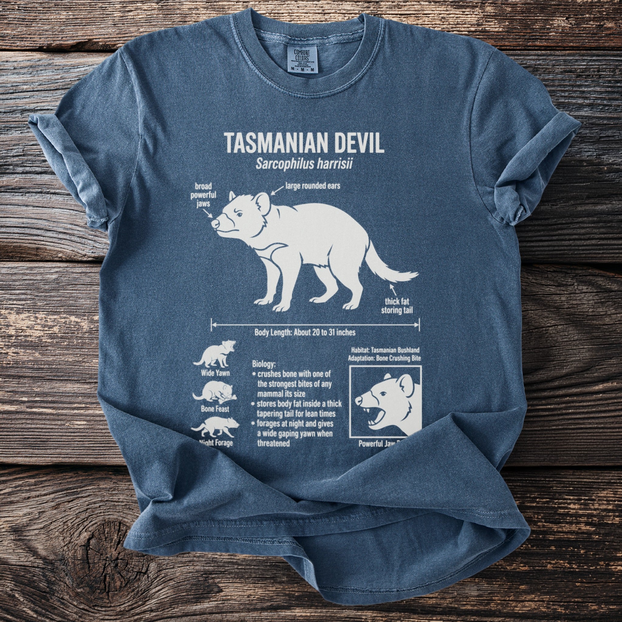 Blue t-shirt with white graphic of a Tasmanian Devil and its biological facts.