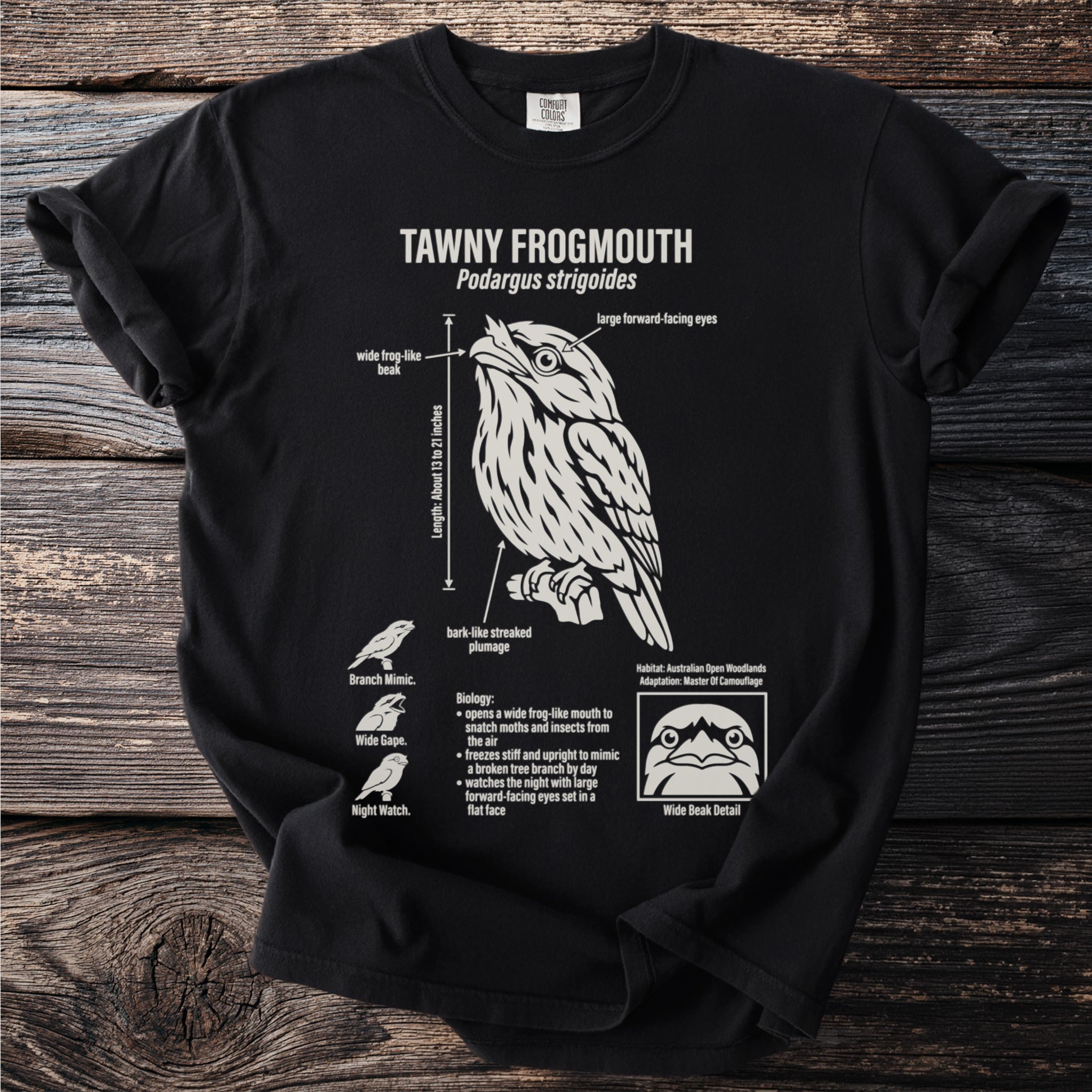 Black t-shirt with Tawny Frogmouth illustration and biological details.