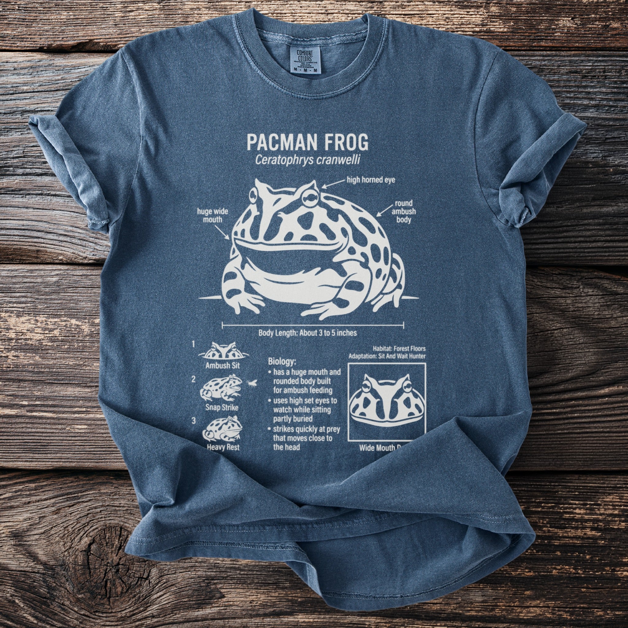 Blue t-shirt with Pacman frog diagram, biology, and adaptations.