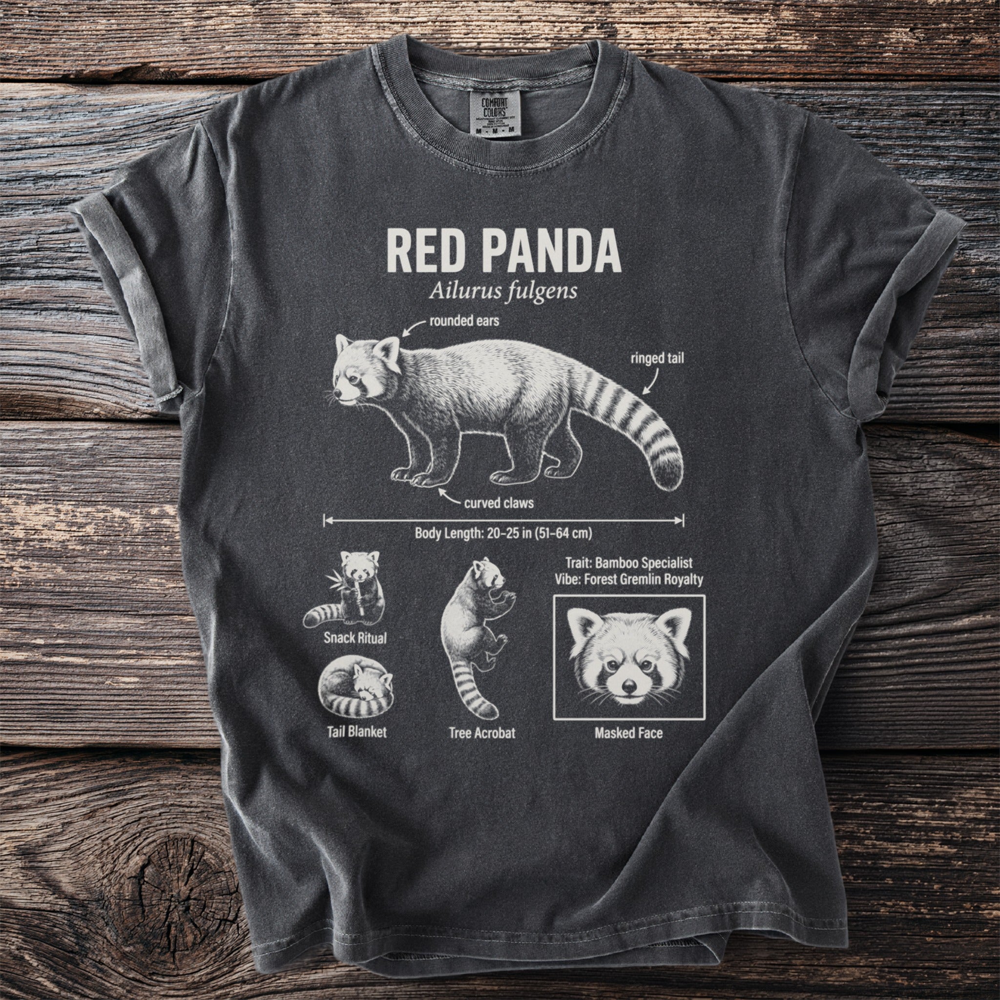 T-shirt displays a detailed illustration of a red panda with labeled features and behaviors.