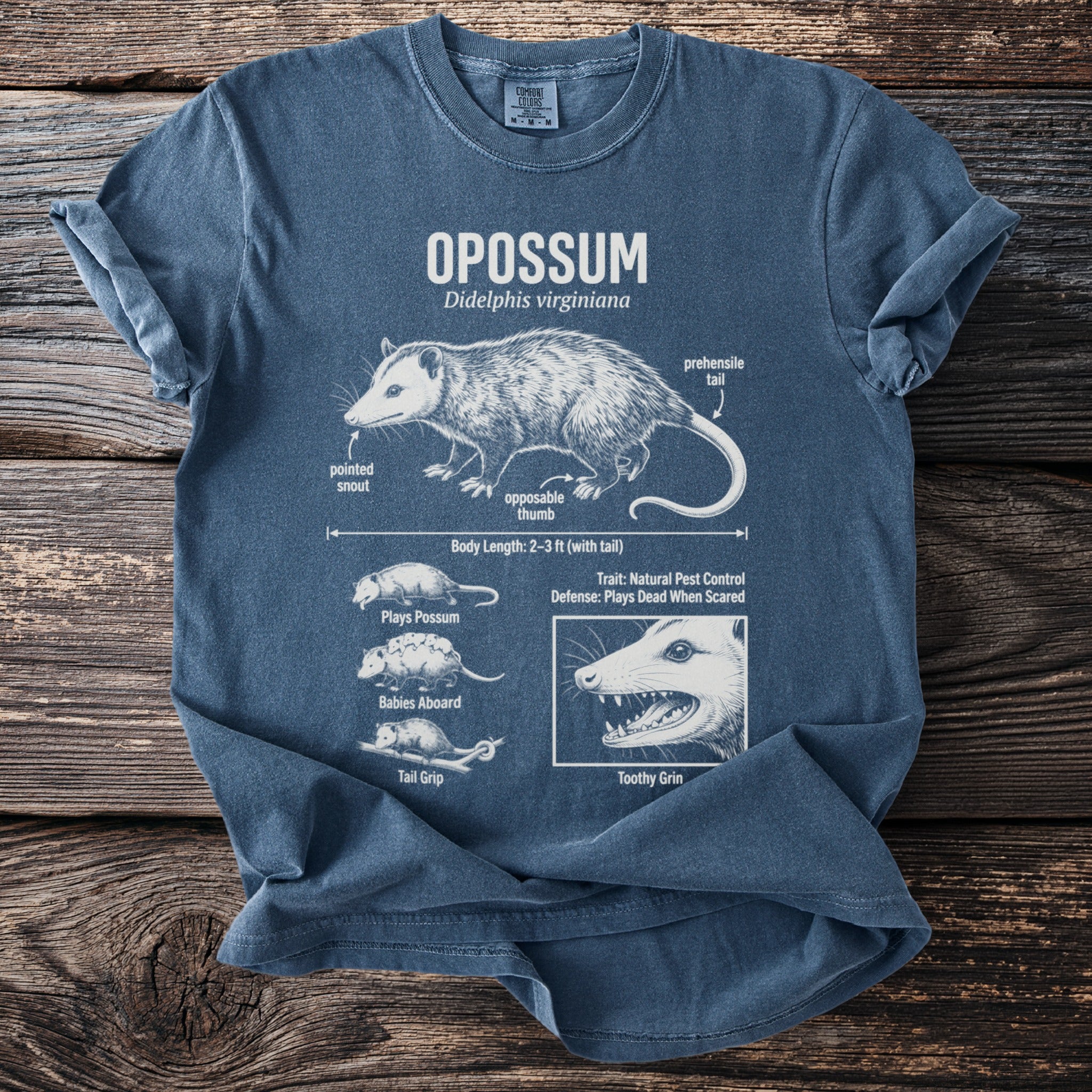Blue t-shirt with opossum anatomy diagram: pointed snout, prehensile tail, opposable thumb.