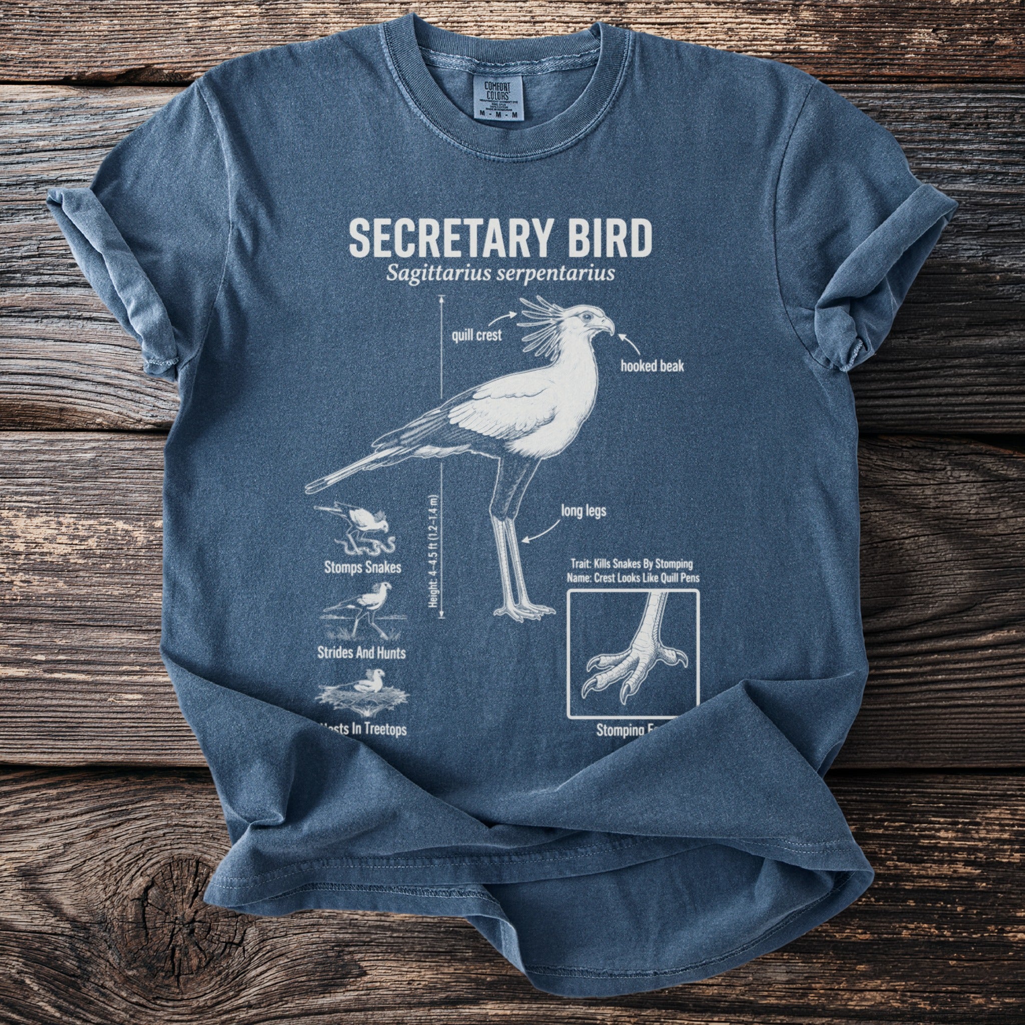 Secretary Bird anatomical diagram on a blue t-shirt, including quill crest, long legs, and feet.