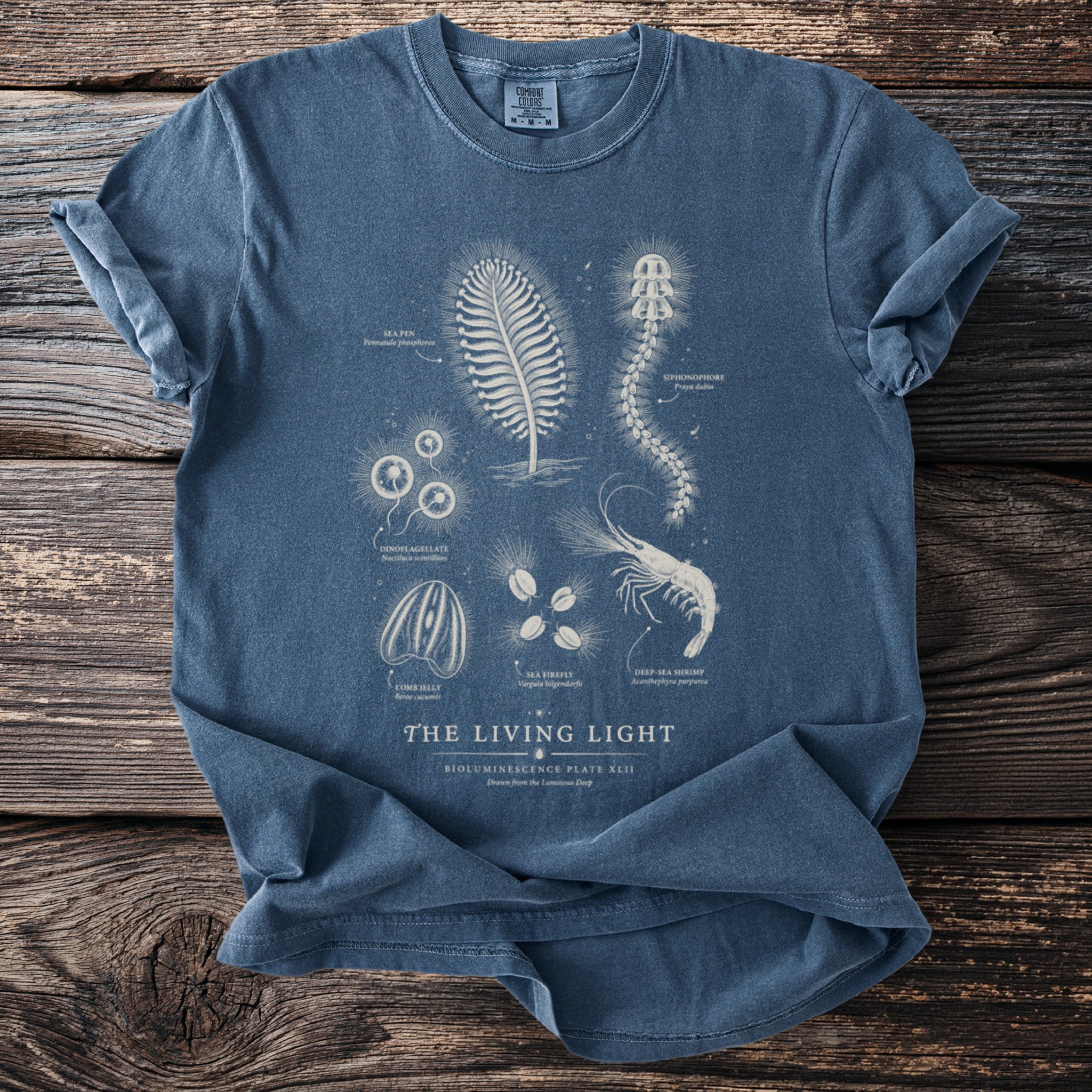 T-shirt with "The Living Light" bioluminescence illustration of sea creatures.