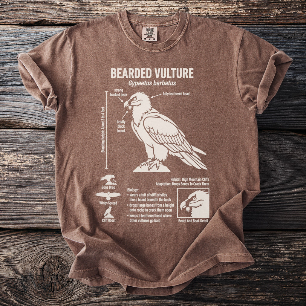 Brown t-shirt with white graphic of a bearded vulture and its biology.