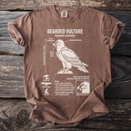 Brown t-shirt with white graphic of a bearded vulture and its biology.