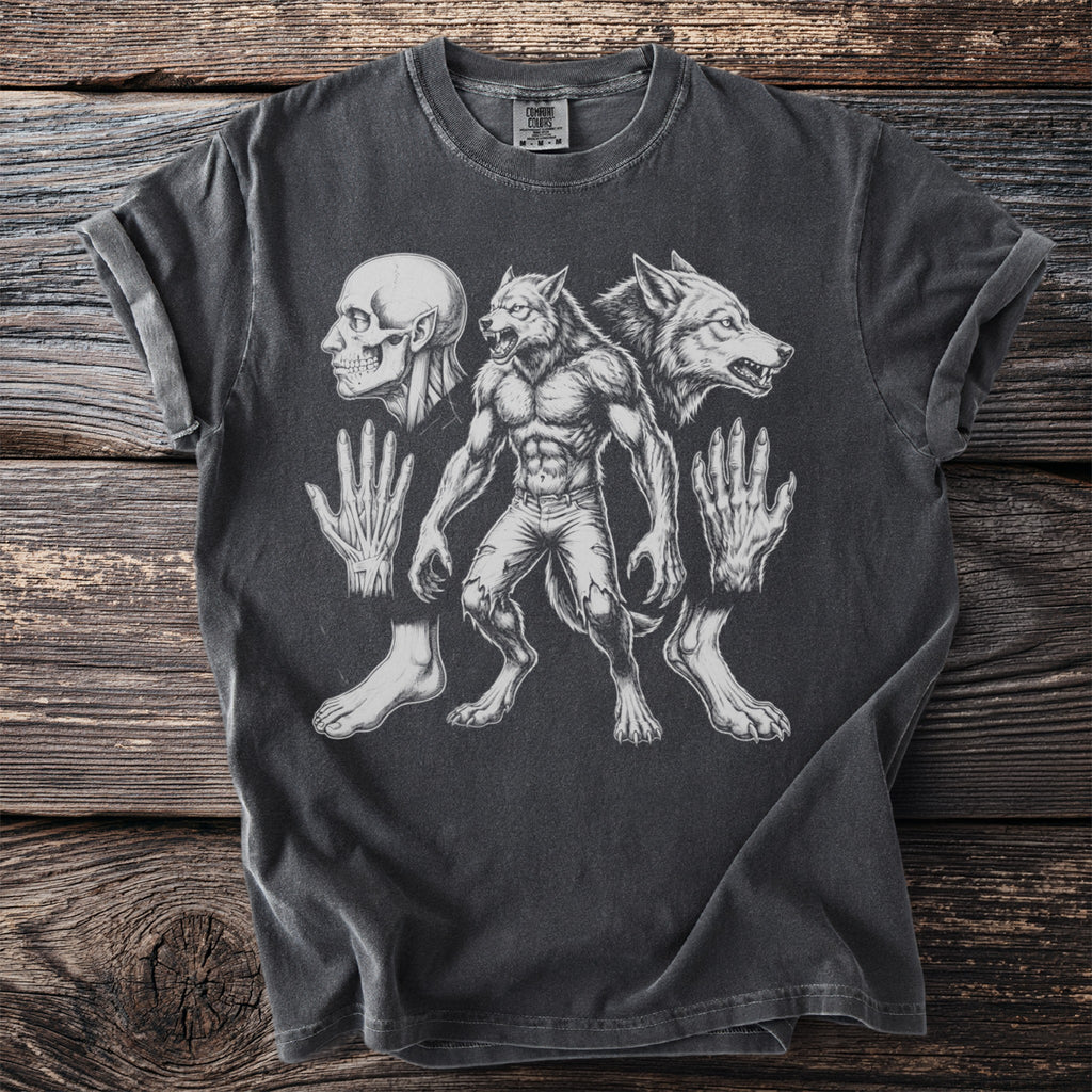 Werewolf anatomy diagram featuring a werewolf, skull, hands, and feet.