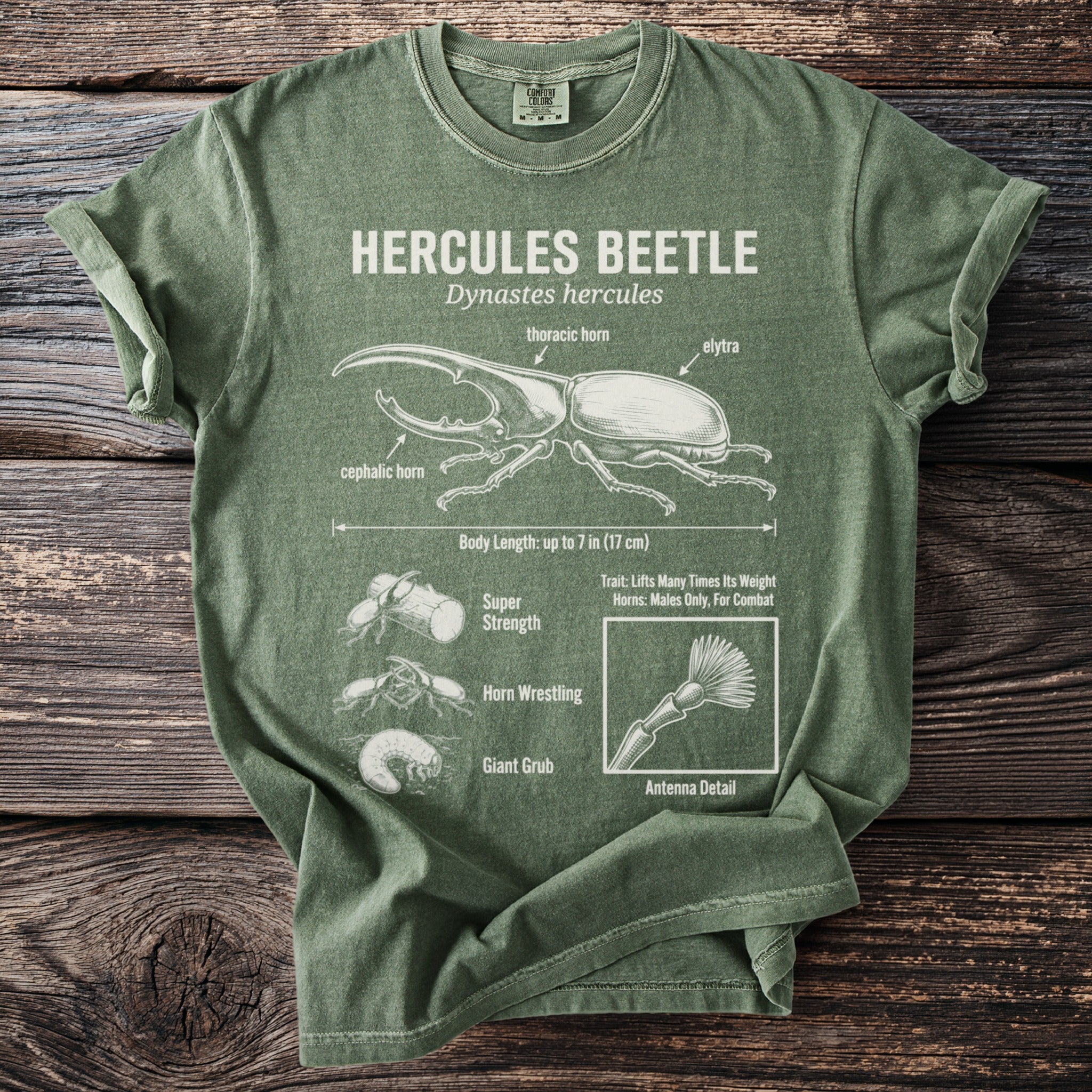 Green t-shirt features a white diagram of a Hercules beetle with labeled parts and life stages.